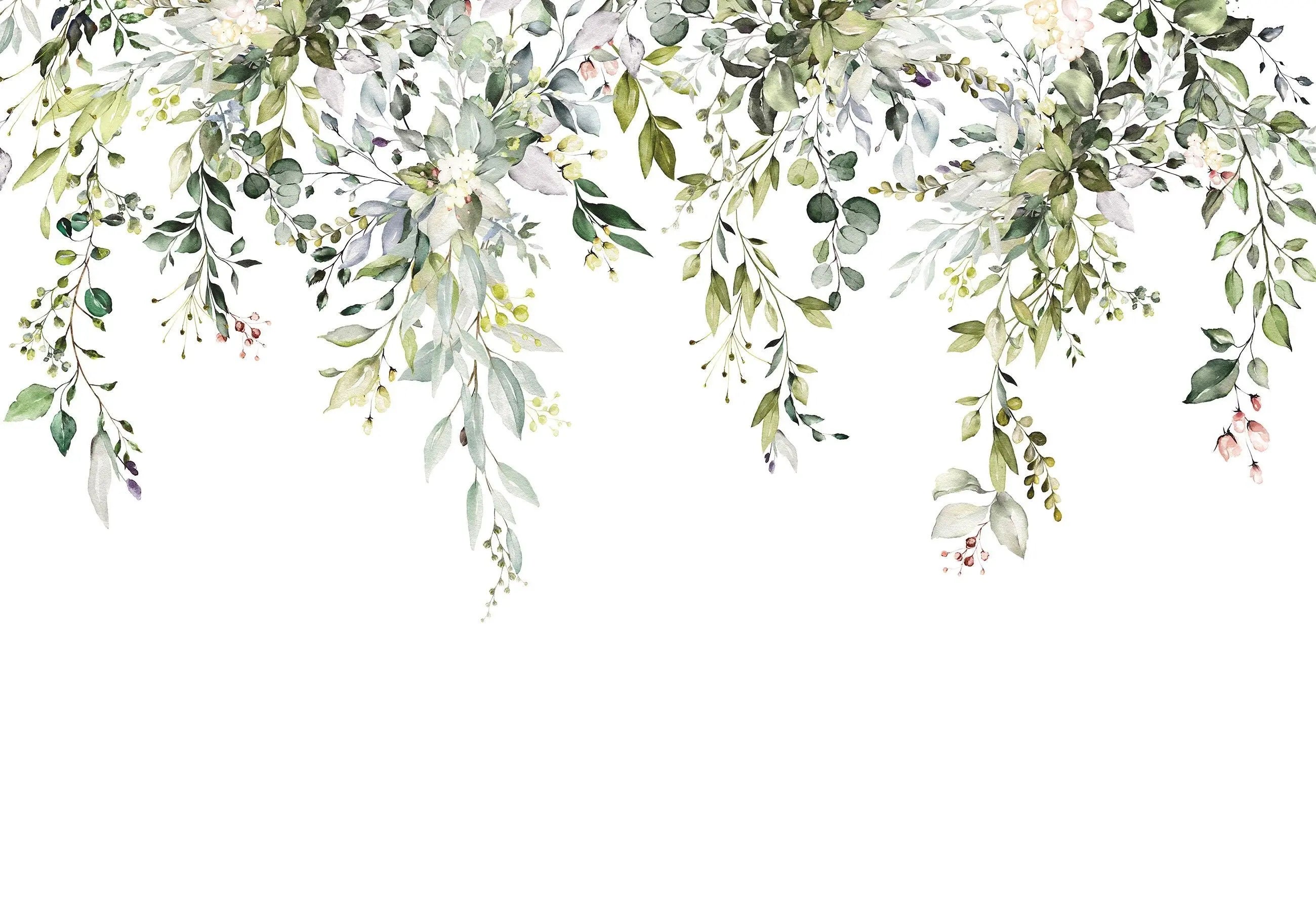 Billede 2 af Fototapet - Akvarel med grønne og grå blade på hvid baggrund