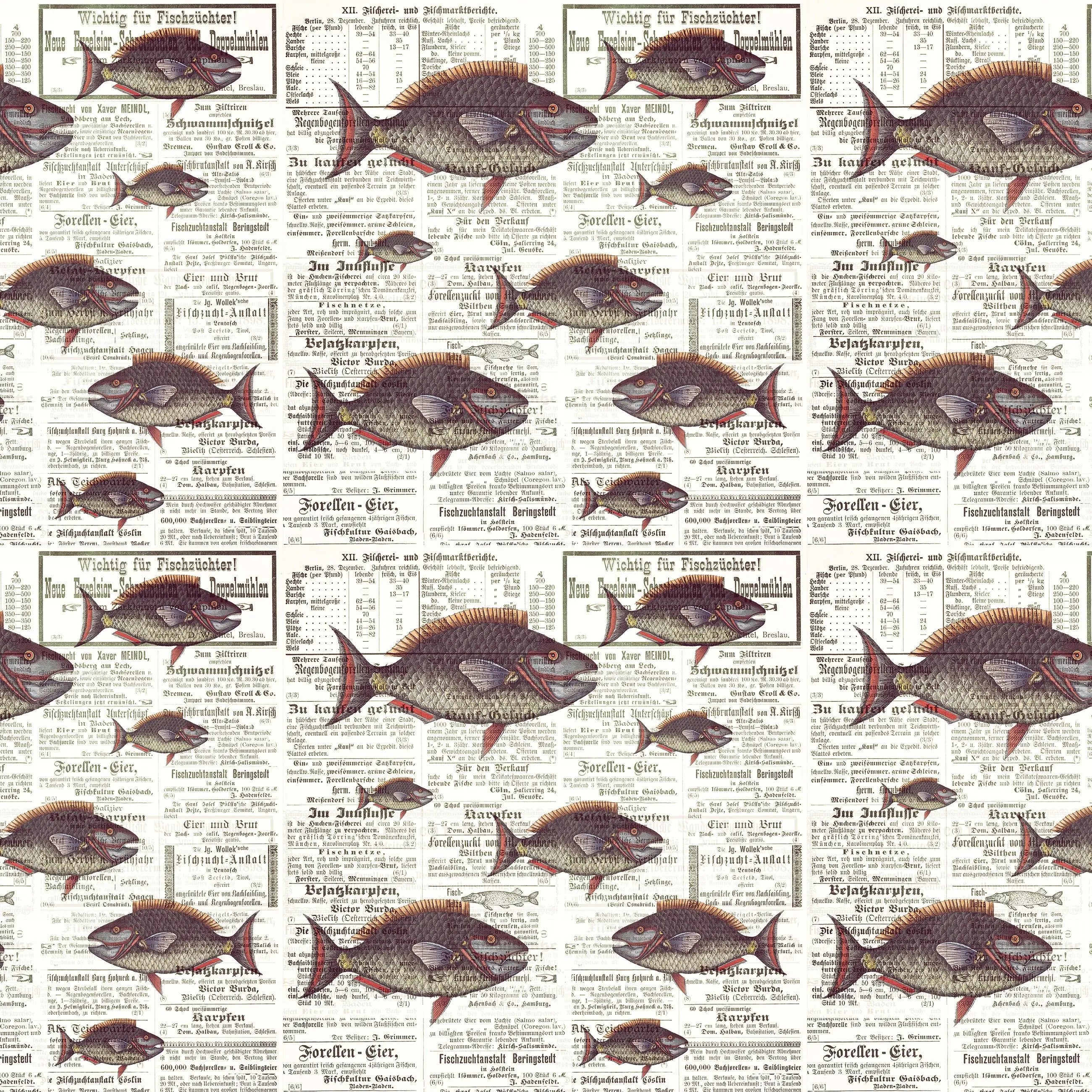 Billede 7 af Fototapet - Antikke fisketegninger på avispapir