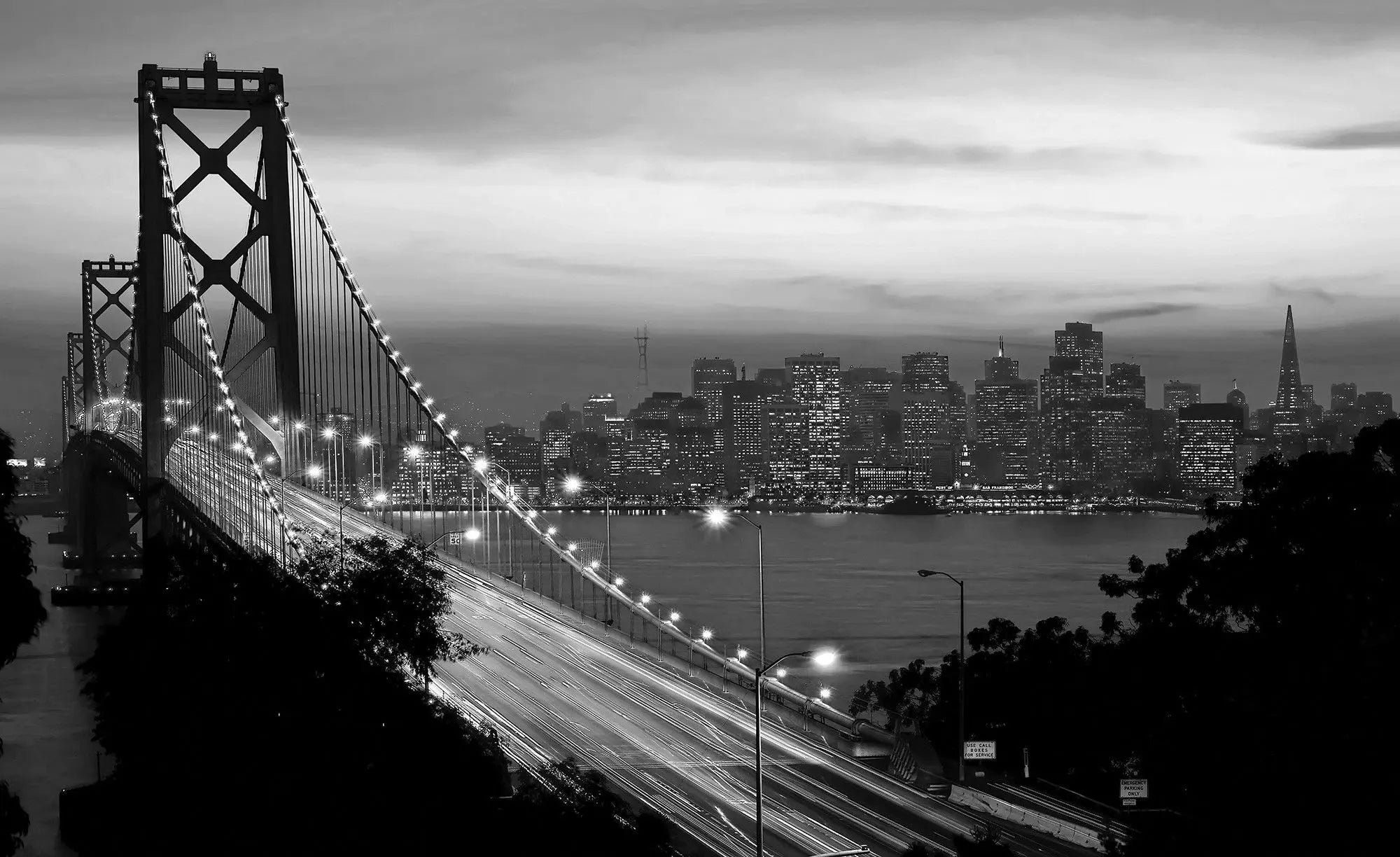 Billede 1 af Fototapet - Bay Bridge med San Francisco skyline i sort-hvid