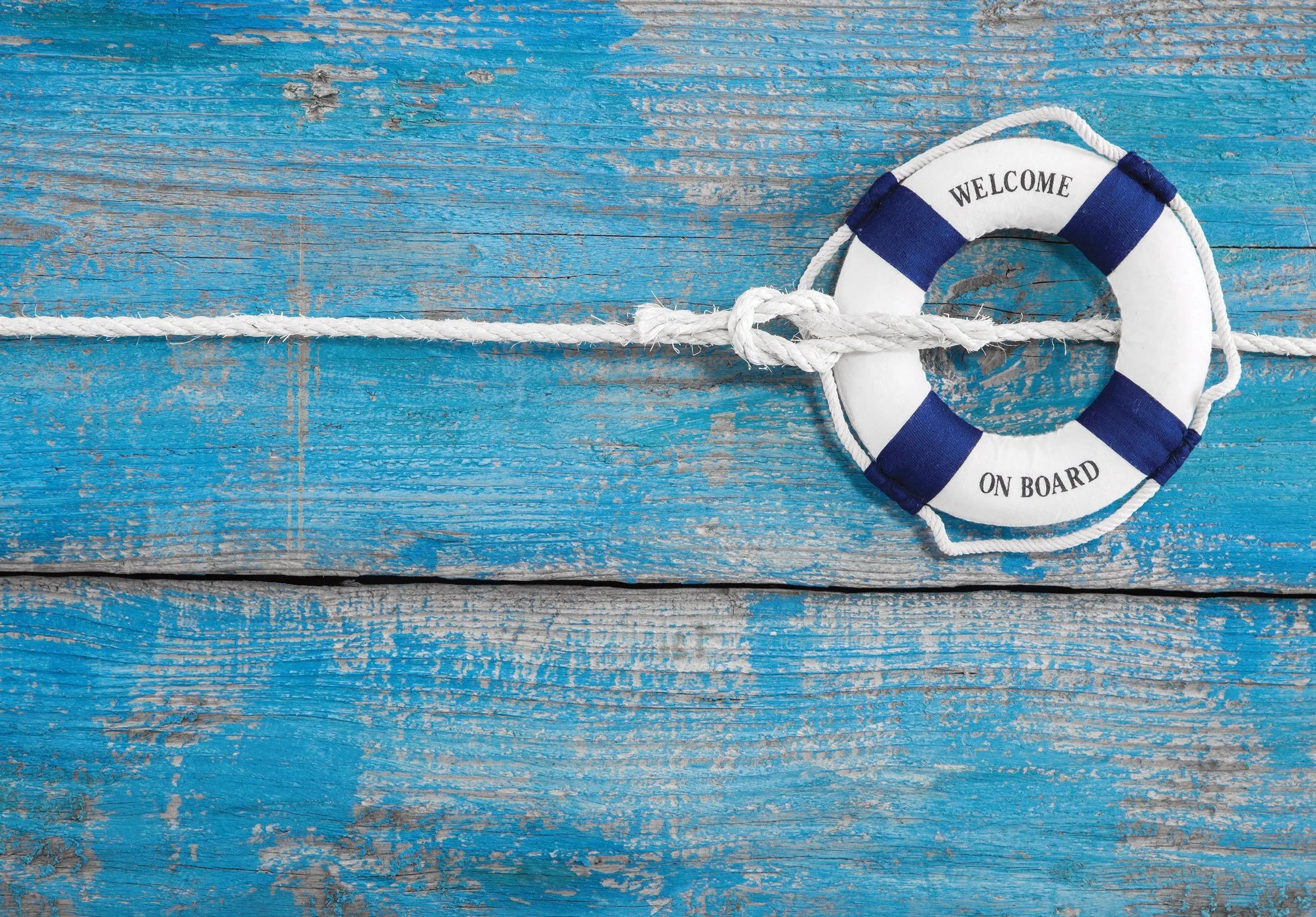 Billede 3 af Fototapet - Blå trævæg med hvid og blå redningskrans