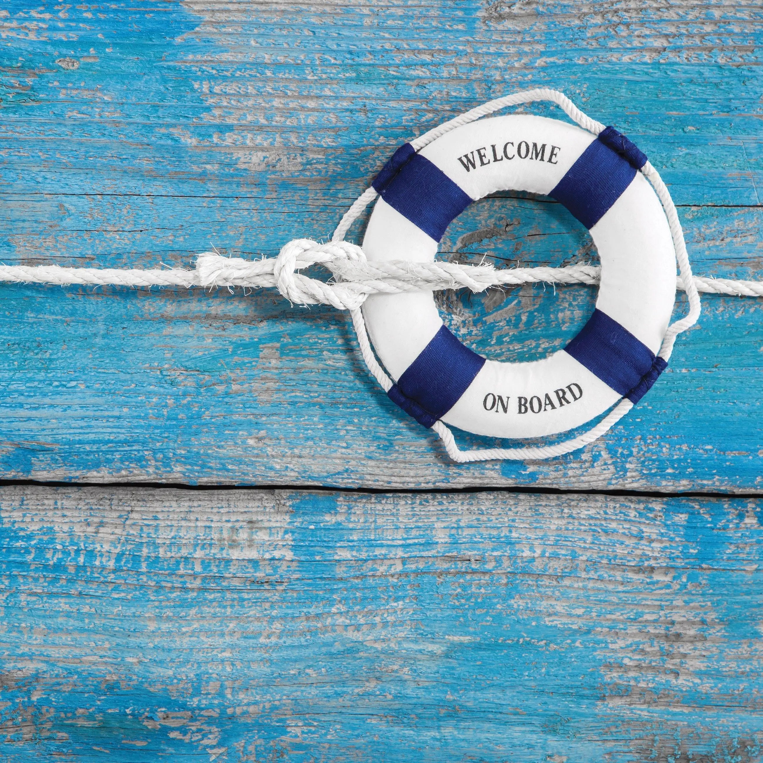 Billede 8 af Fototapet - Blå trævæg med hvid og blå redningskrans