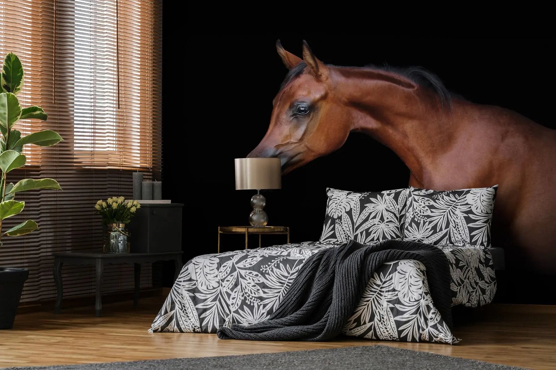 Billede 4 af Fototapet - Brun hest mod sort baggrund højrevendt