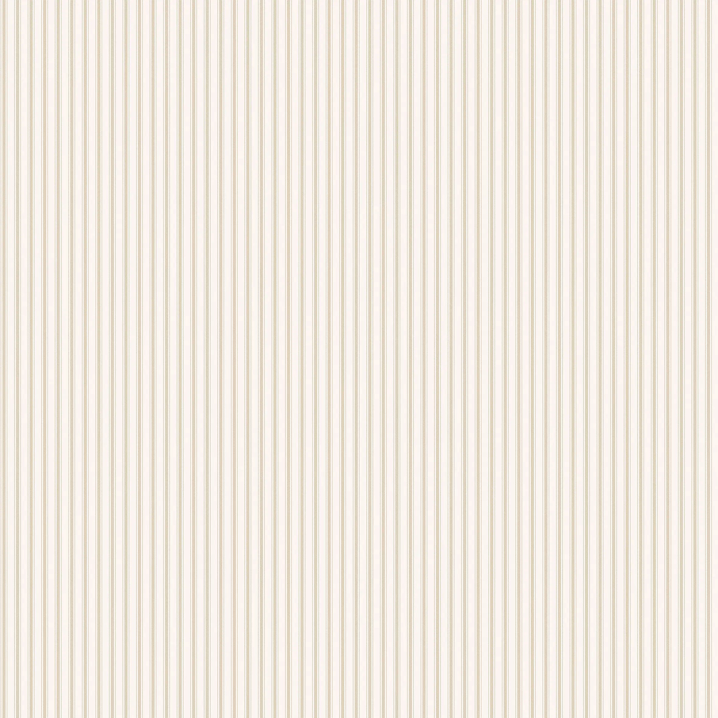 Billede af tapet 'Dense Pinstripes - Sand' med tæt opstilling af lodrette linjer i lyse sandfarver.