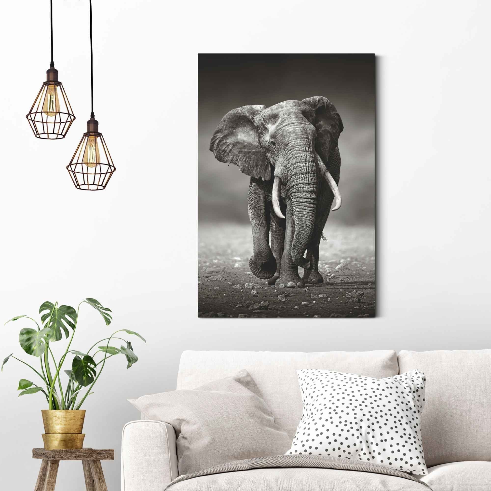 Gående elefant i sort hvid fotokunst vægpanel 60X90cm. - Køb plakat billede til væg