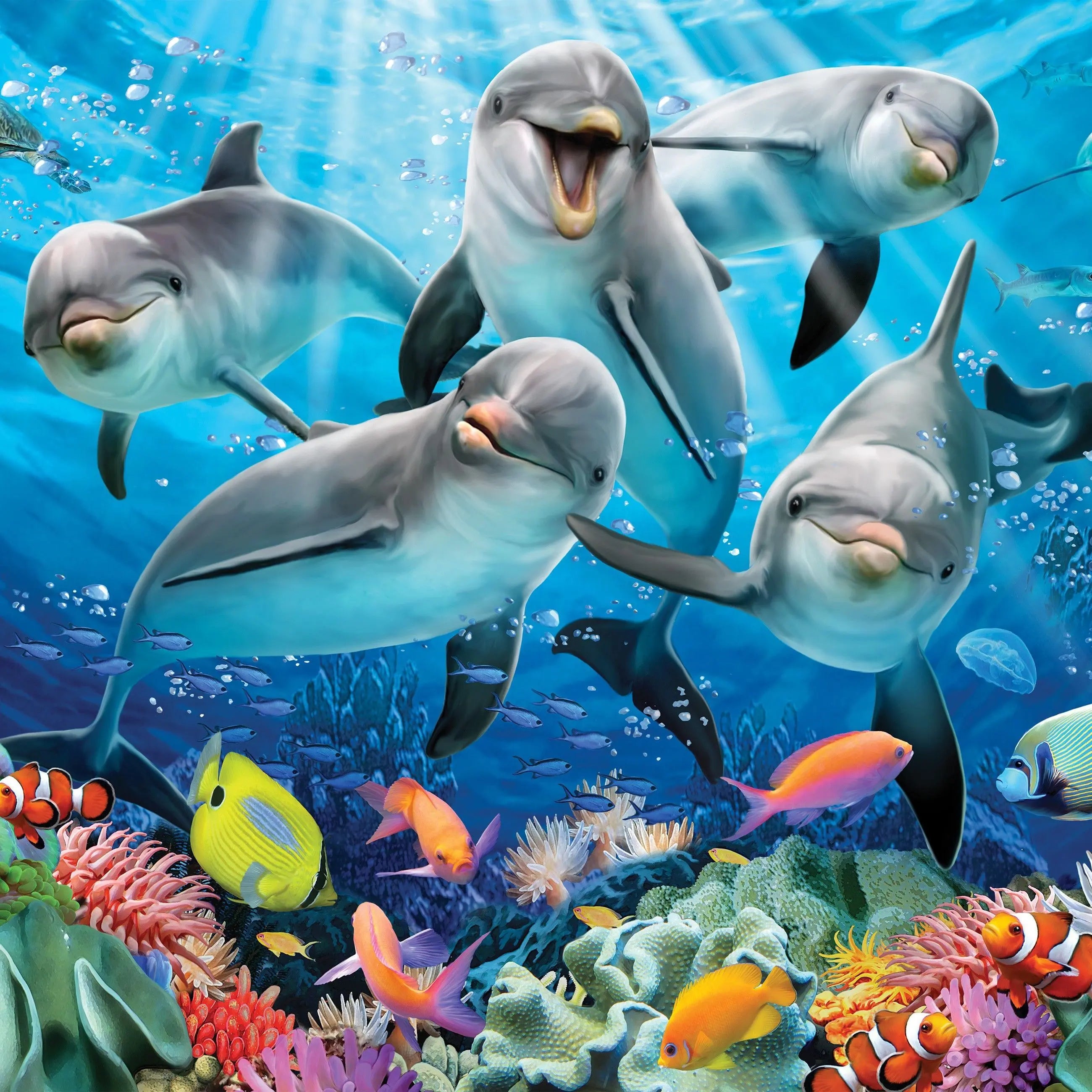 Billede 8 af Fototapet - Fem glade delfiner og farverige tropiske fisk i koralrevet
