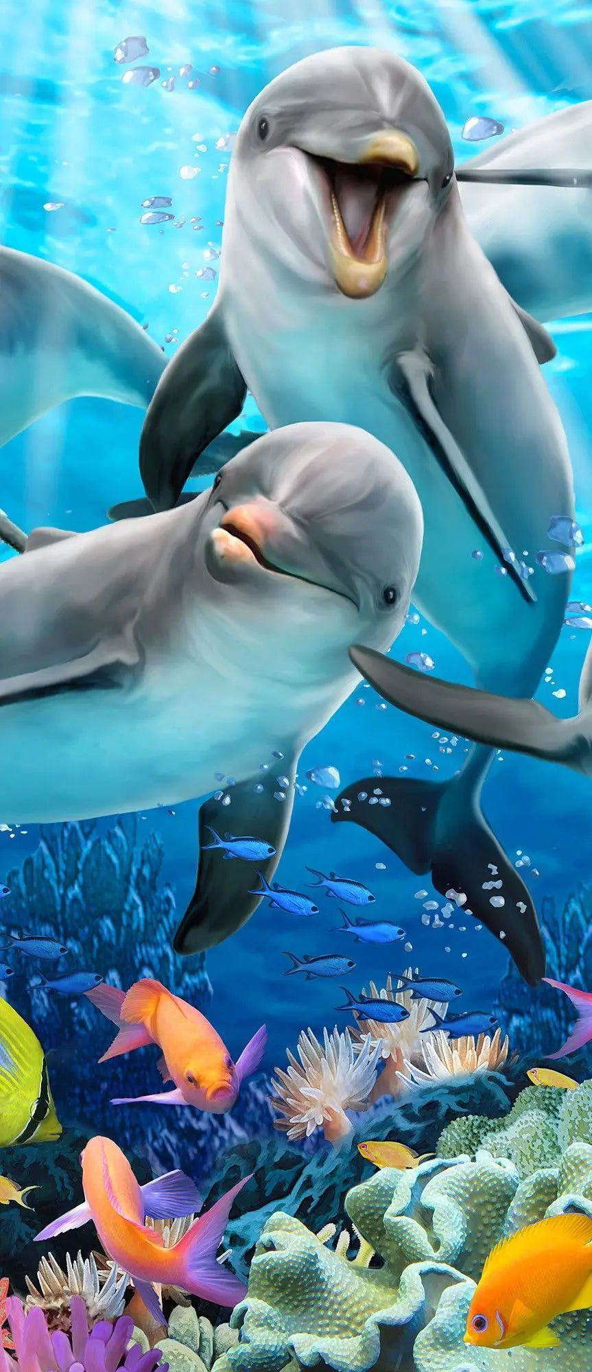 Billede 9 af Fototapet - Fem glade delfiner og farverige tropiske fisk i koralrevet