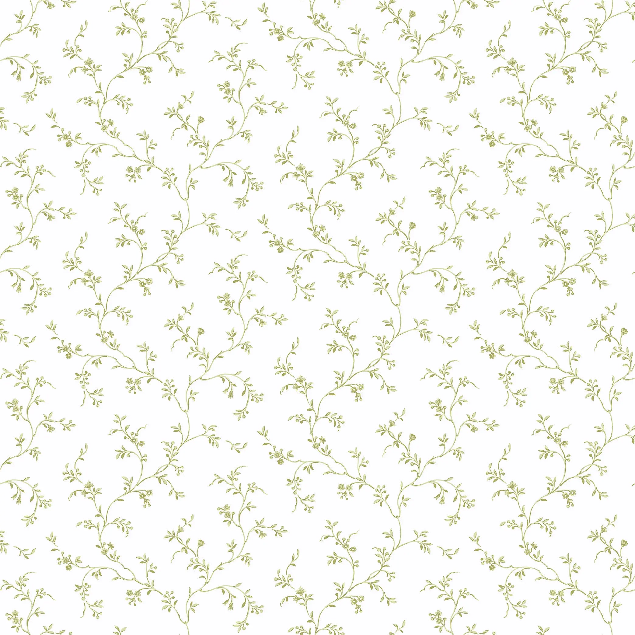 Detaljeret billede af Floral Silhouette - Olive Frost tapet med delikat olivengrøn blomstermønster på en lys baggrund.