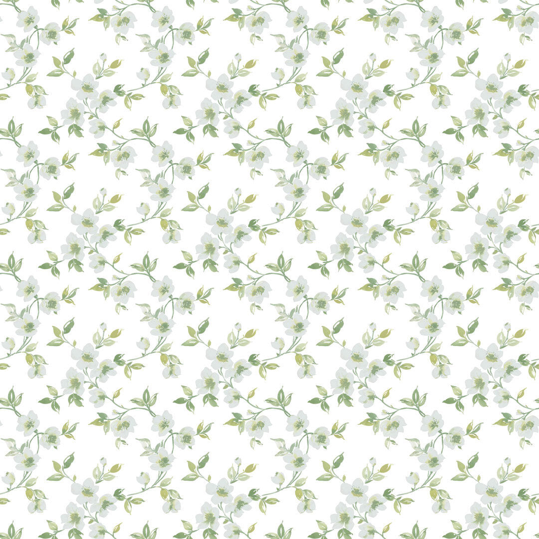 Anenome Mini - Hvid med råhvide blomster - Flotte blomstrede tapeter