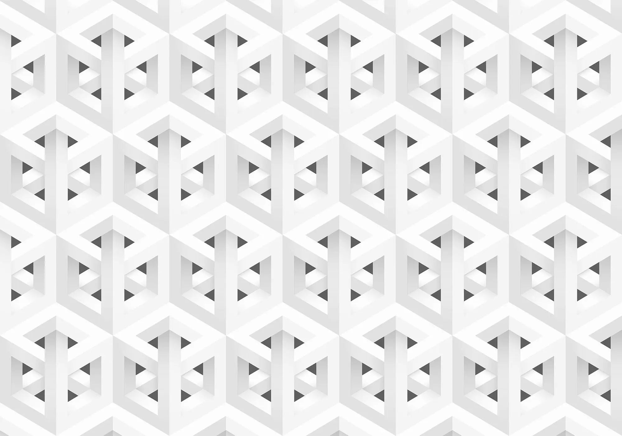 Billede 1 af Fototapet - Grå og hvid geometrisk optisk illusionsmønster