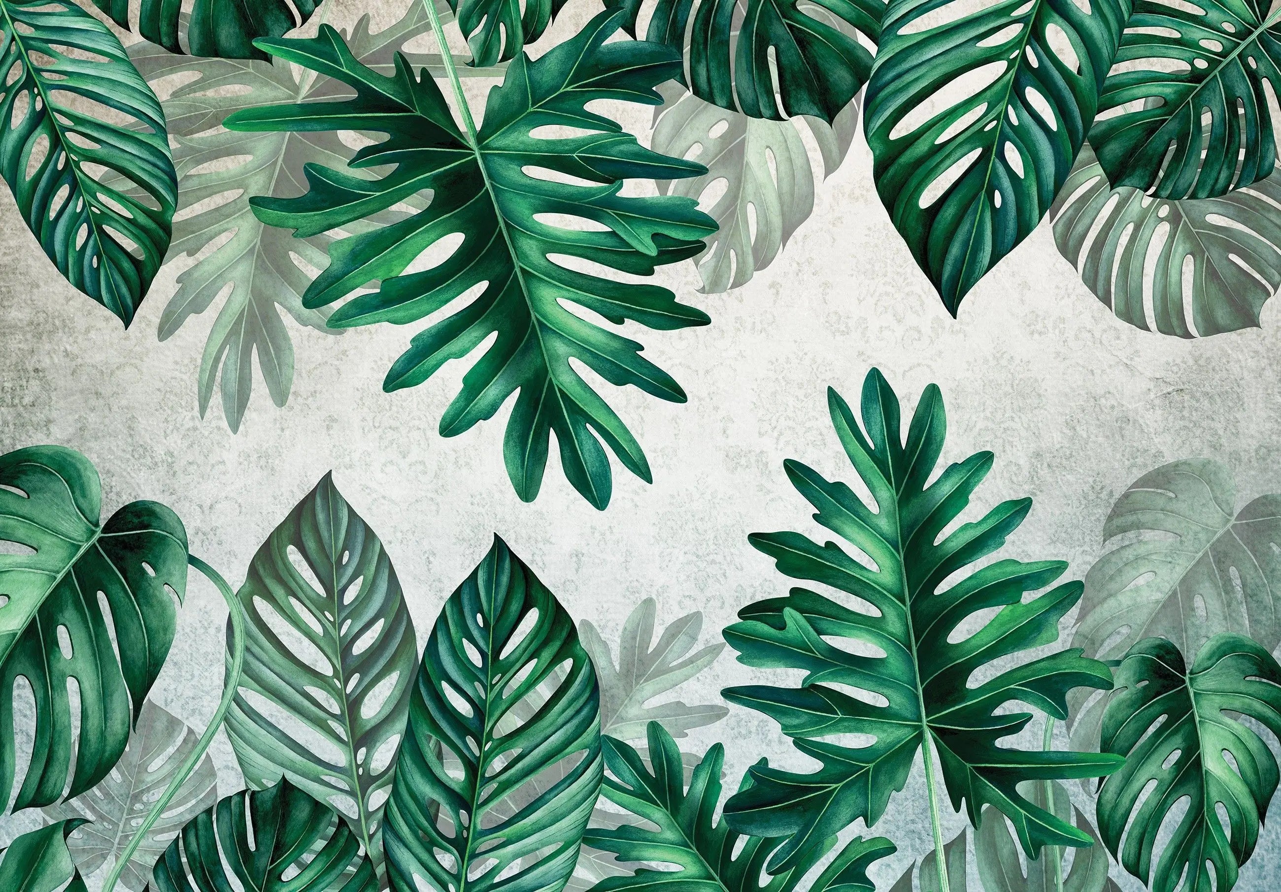 Billede 7 af Fototapet - Grønne Monstera-blade på Beige Baggrund