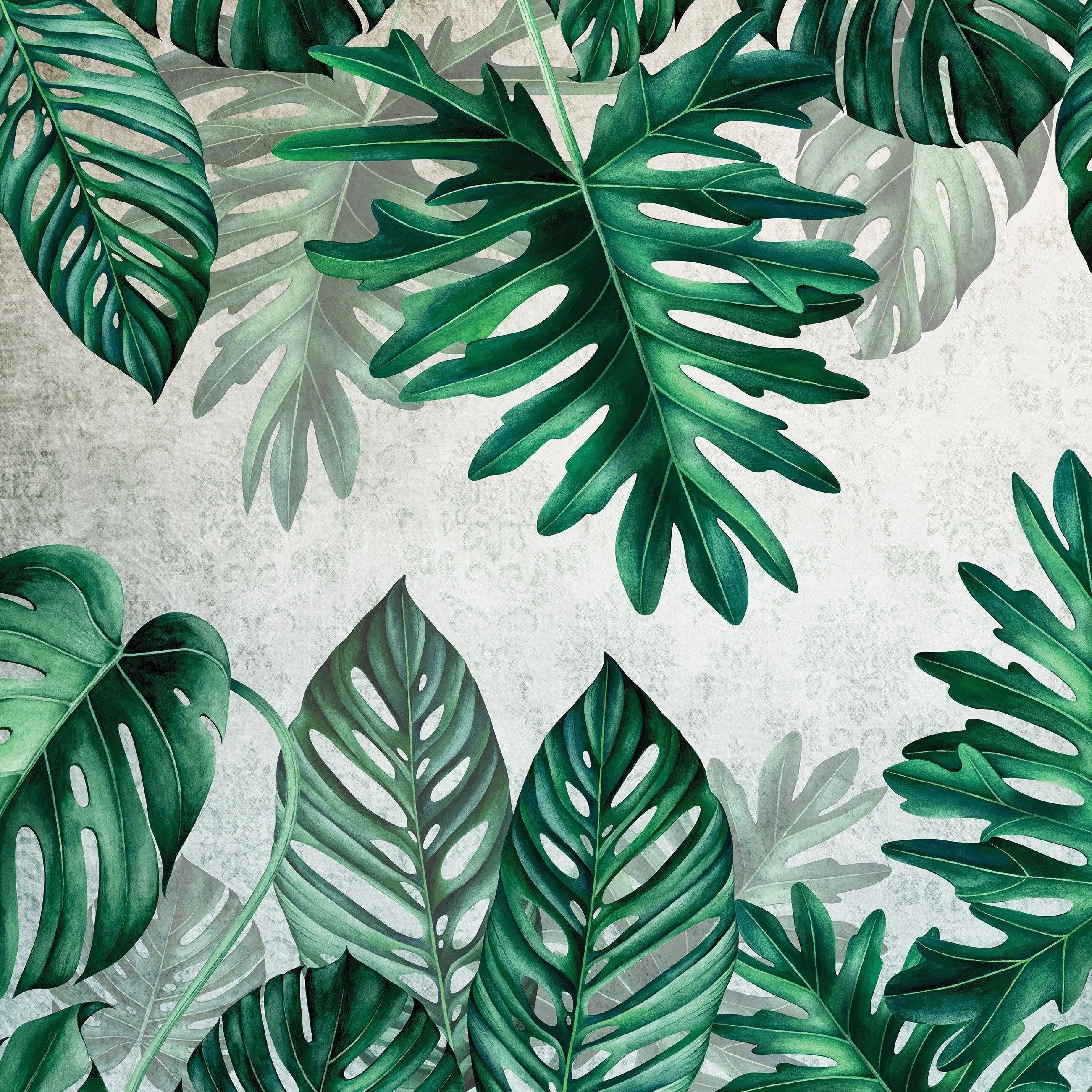 Billede 9 af Fototapet - Grønne Monstera-blade på Beige Baggrund