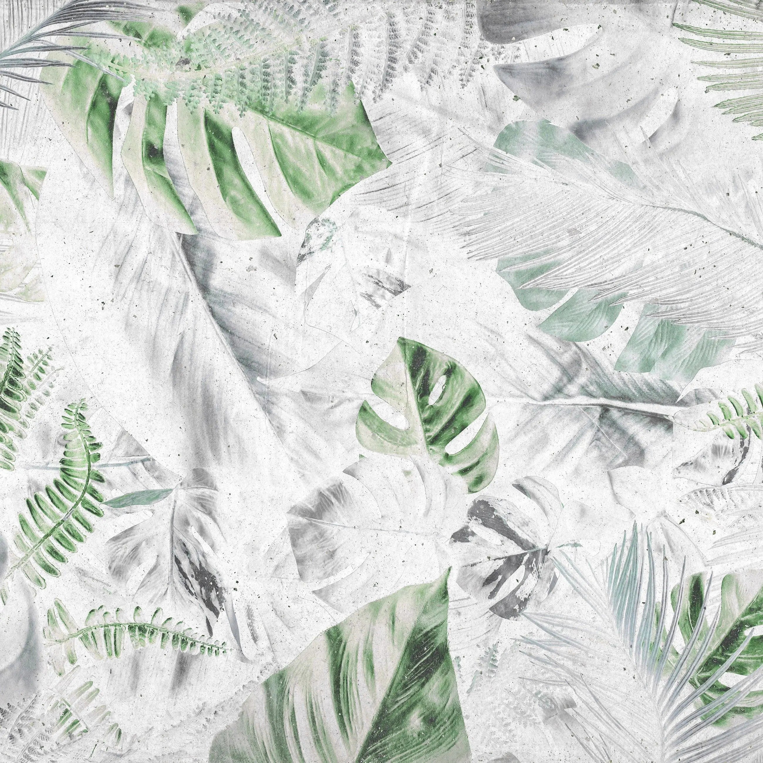 Billede 6 af Fototapet - Grønne tropiske blade på hvid baggrund