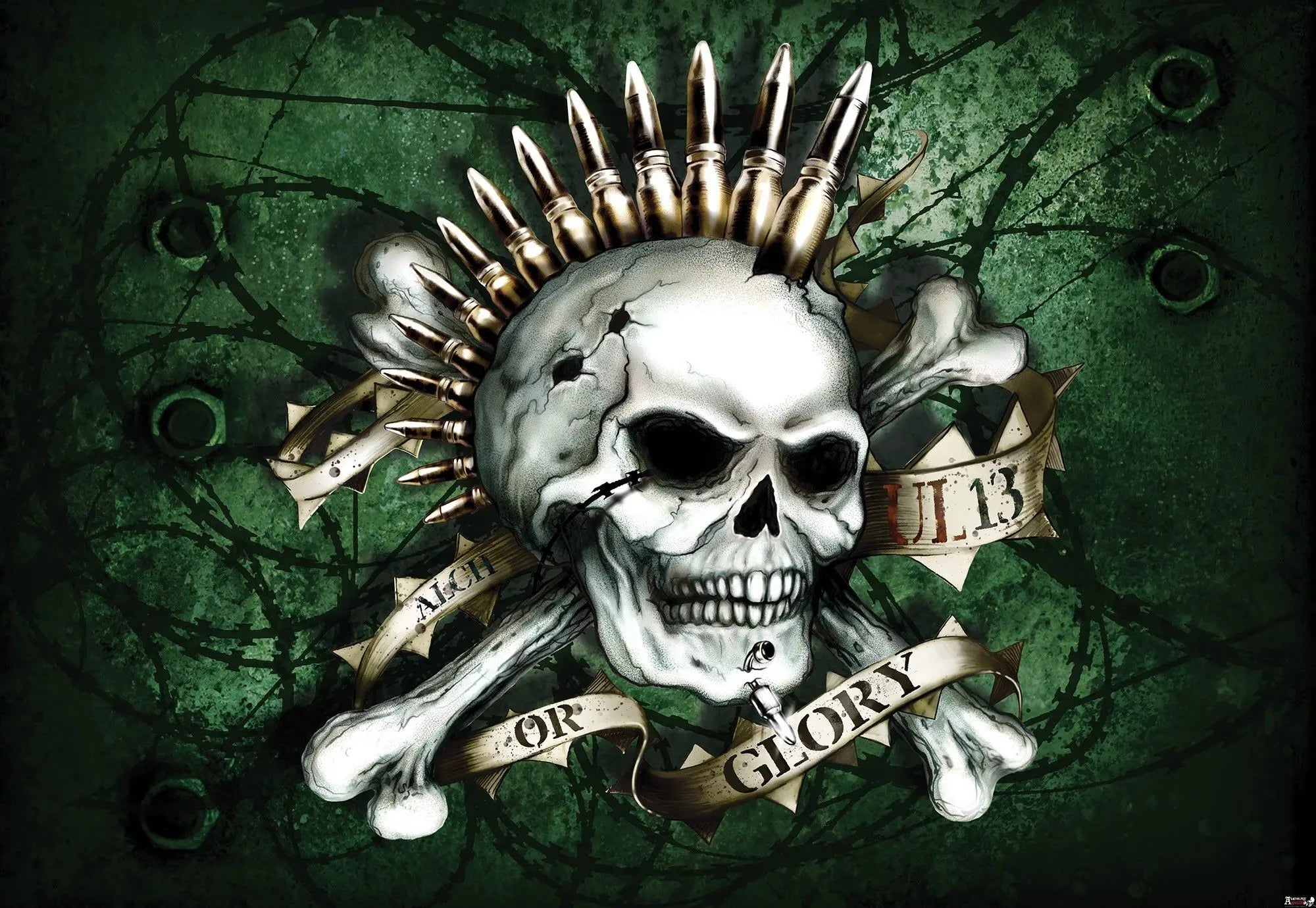 Billede 1 af Fototapet - Kranium med patroner og banner på grøn baggrund