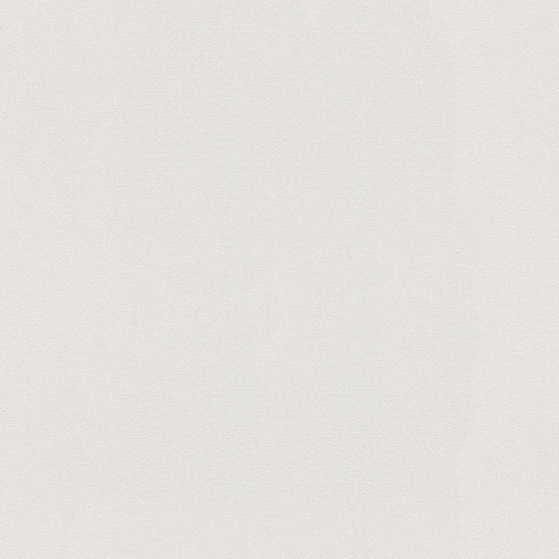 Linen Elegance - Dew tapet med et lys gråt lærredsmønster hos Nicetapet.dk