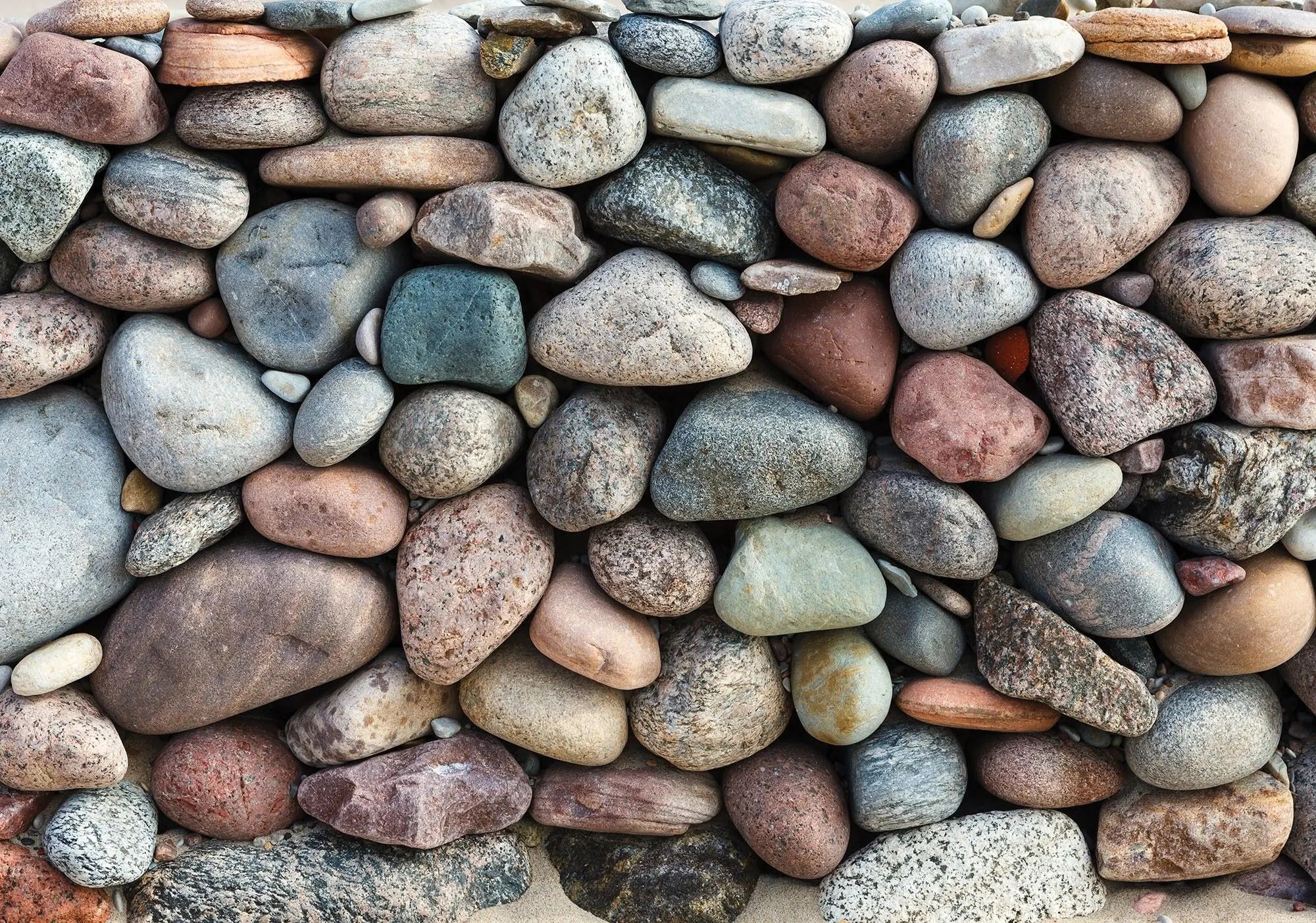 Billede 1 af Fototapet - Naturlig stenvæg af glatte flodsten