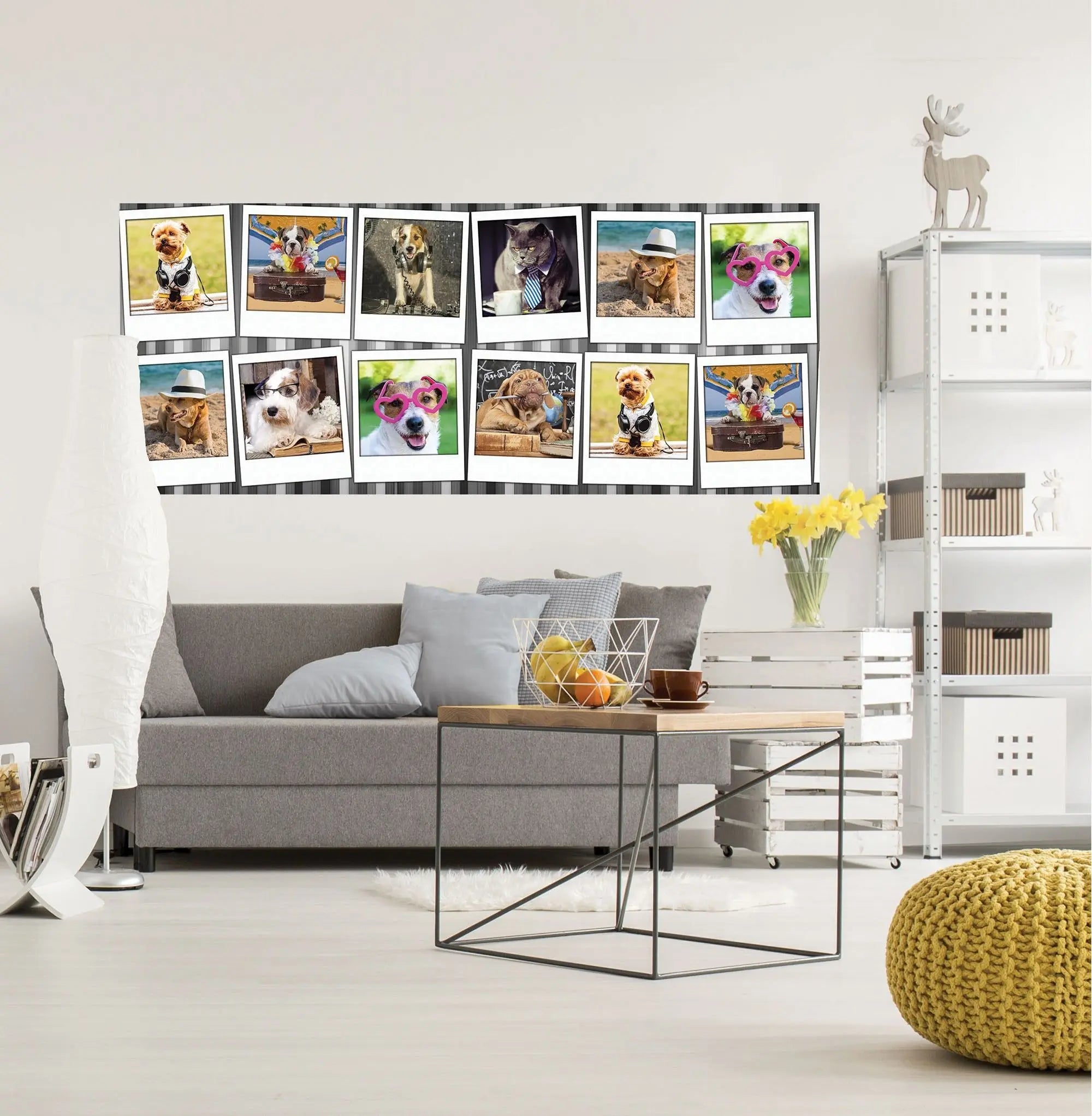 Billede 12 af Fototapet - Otte billeder af klædte hunde og katte i forskellige temaer