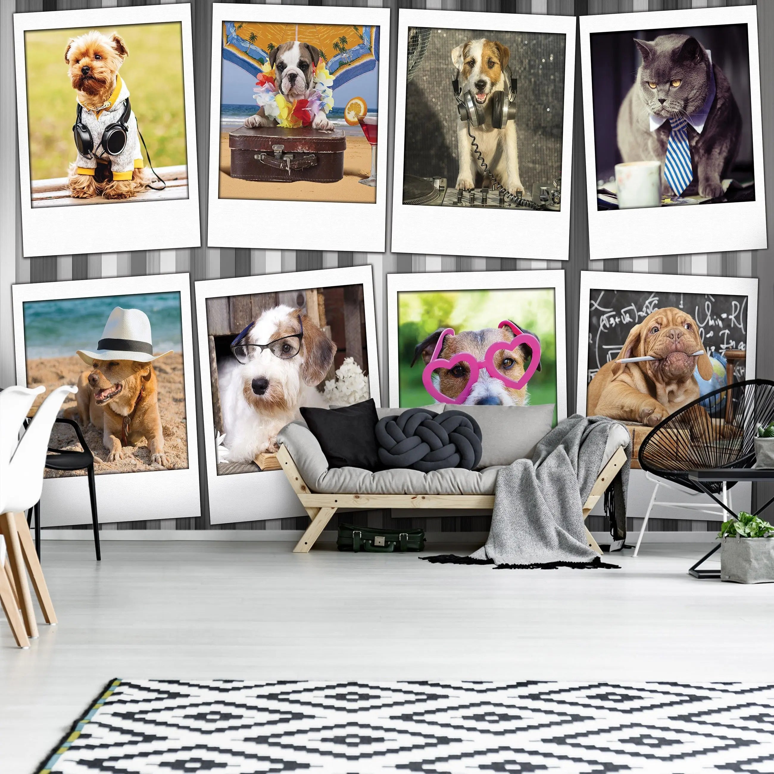 Billede 15 af Fototapet - Otte billeder af klædte hunde og katte i forskellige temaer