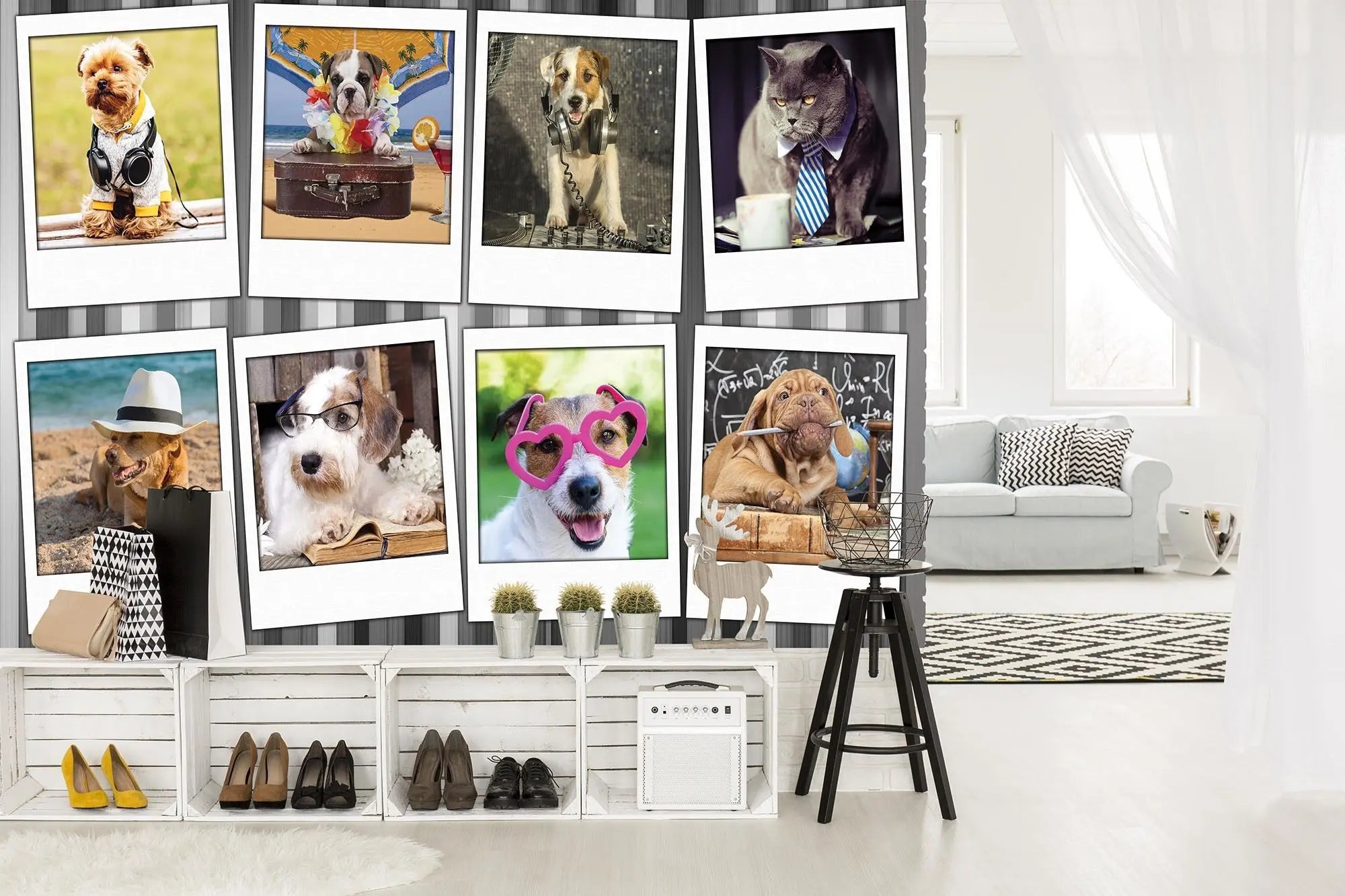 Billede 6 af Fototapet - Otte billeder af klædte hunde og katte i forskellige temaer