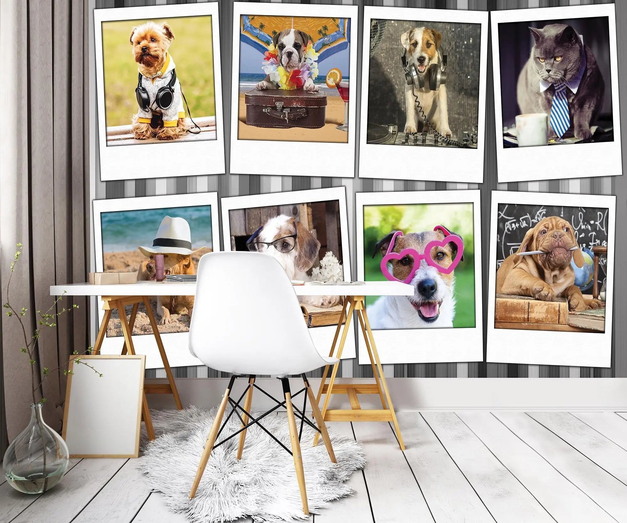 Billede 8 af Fototapet - Otte billeder af klædte hunde og katte i forskellige temaer