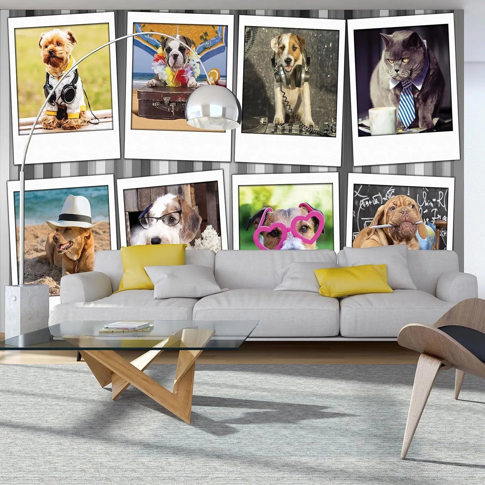 Billede 9 af Fototapet - Otte billeder af klædte hunde og katte i forskellige temaer