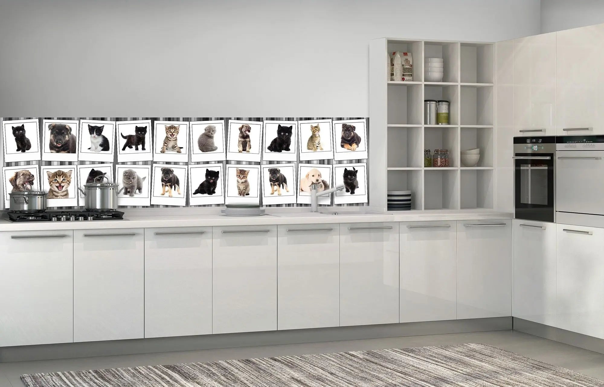 Billede 2 af Fototapet - Otto billeder af hvalpe og killinger med hvid ramme