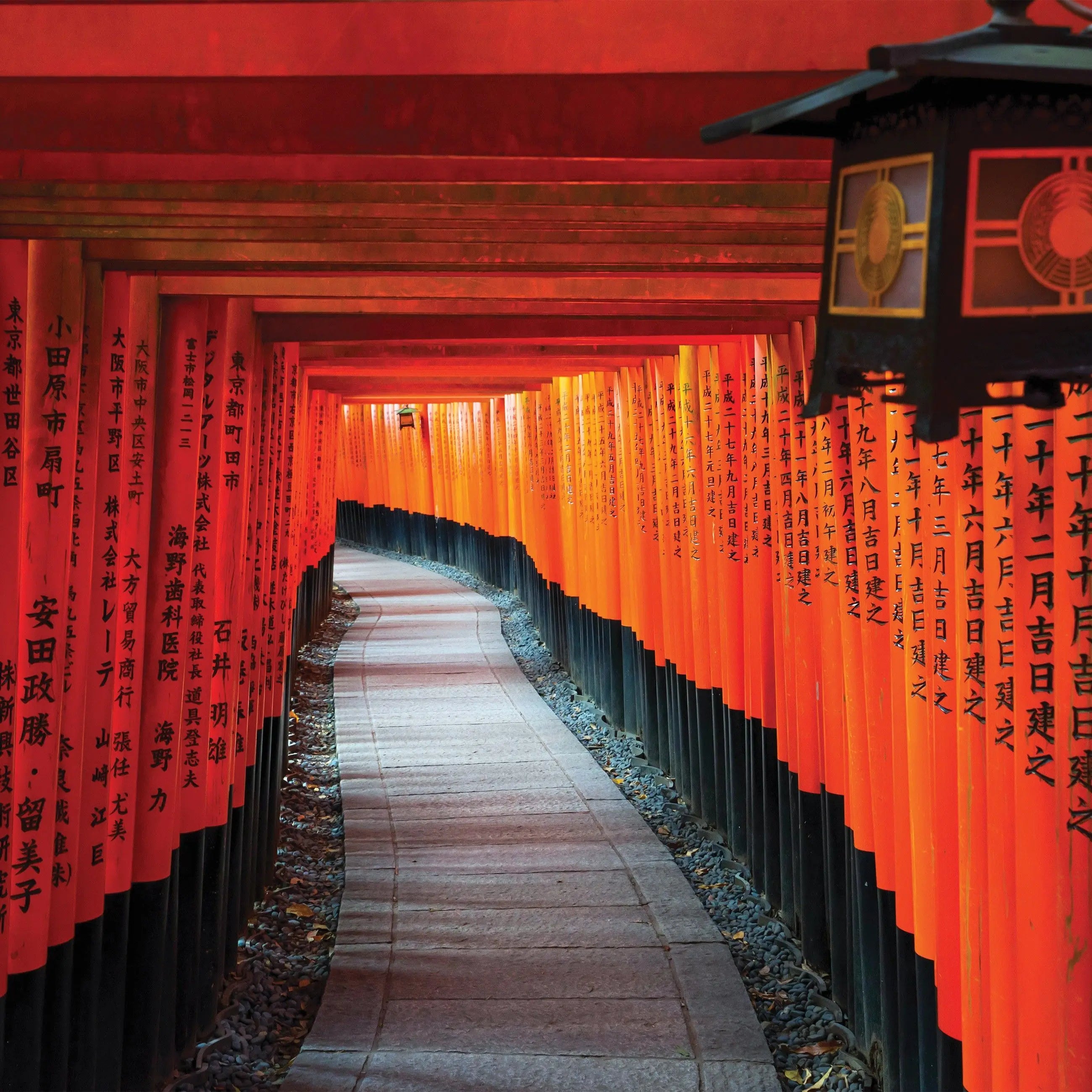 Billede 7 af Fototapet - Rød torii-gangsti ved Fushimi Inari-taisha i Kyoto, Japan