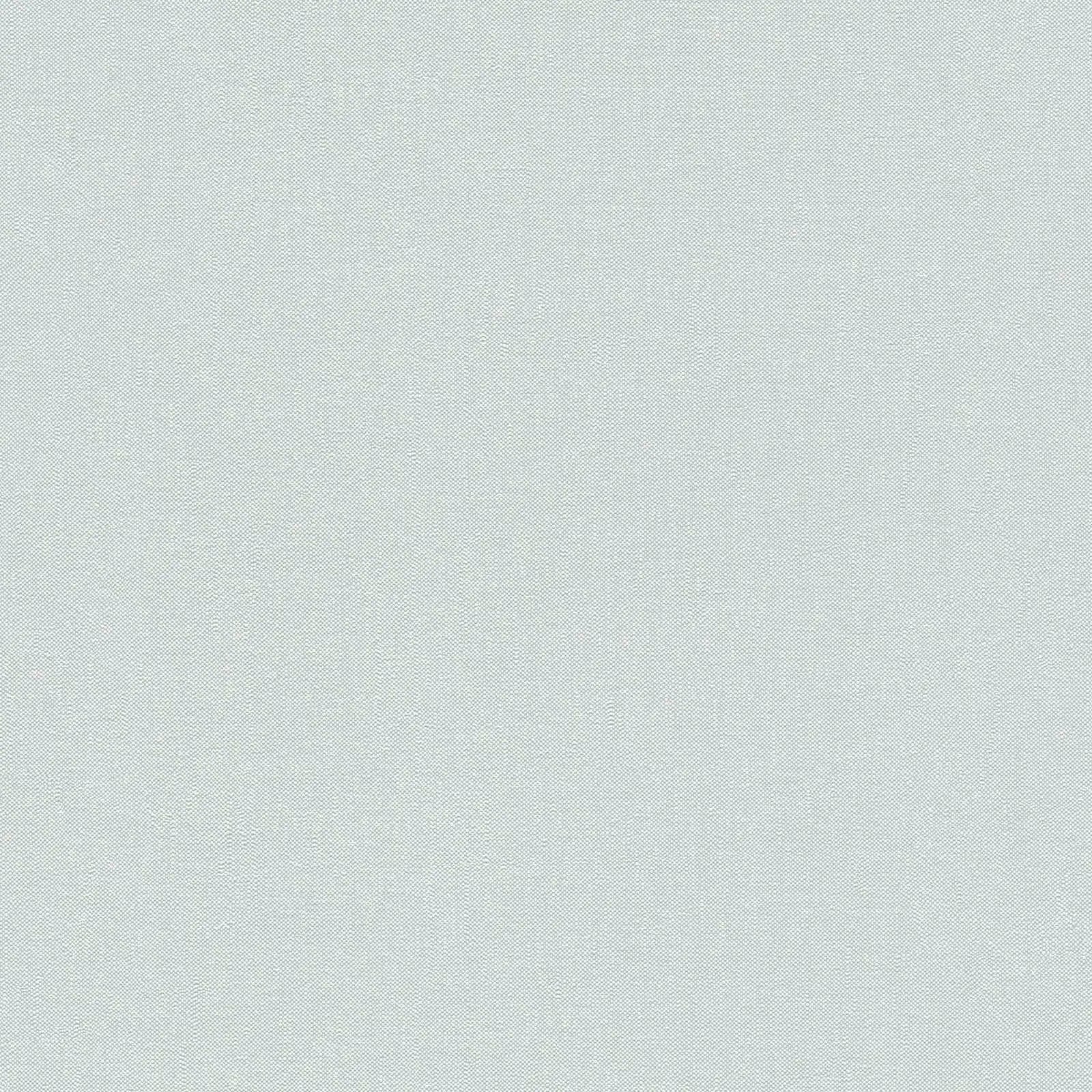 Billede af tapetet Serene Elegance - Slate, der viser en simpel, ensfarvet overflade i en rolig grå tone.