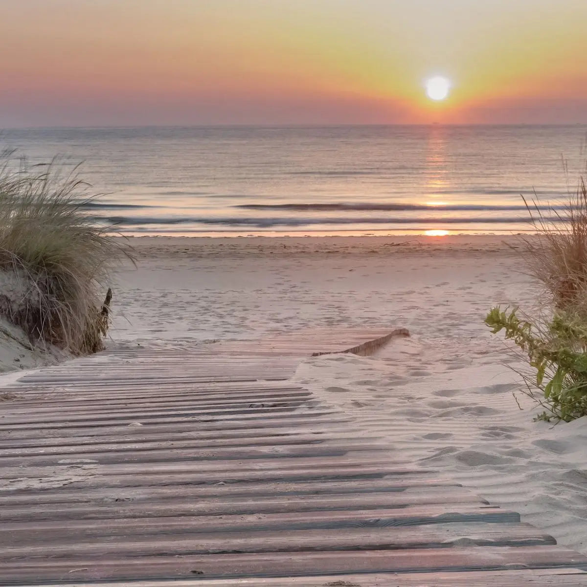 Billede 6 af Fototapet - Solnedgang over sandstrand med gangbro