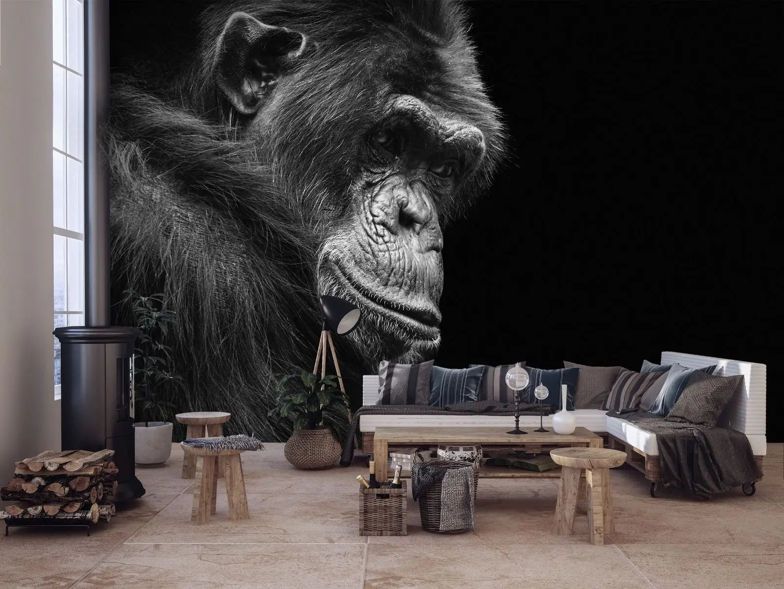 Billede 5 af Fototapet - Sort-hvid portræt af chimpanse