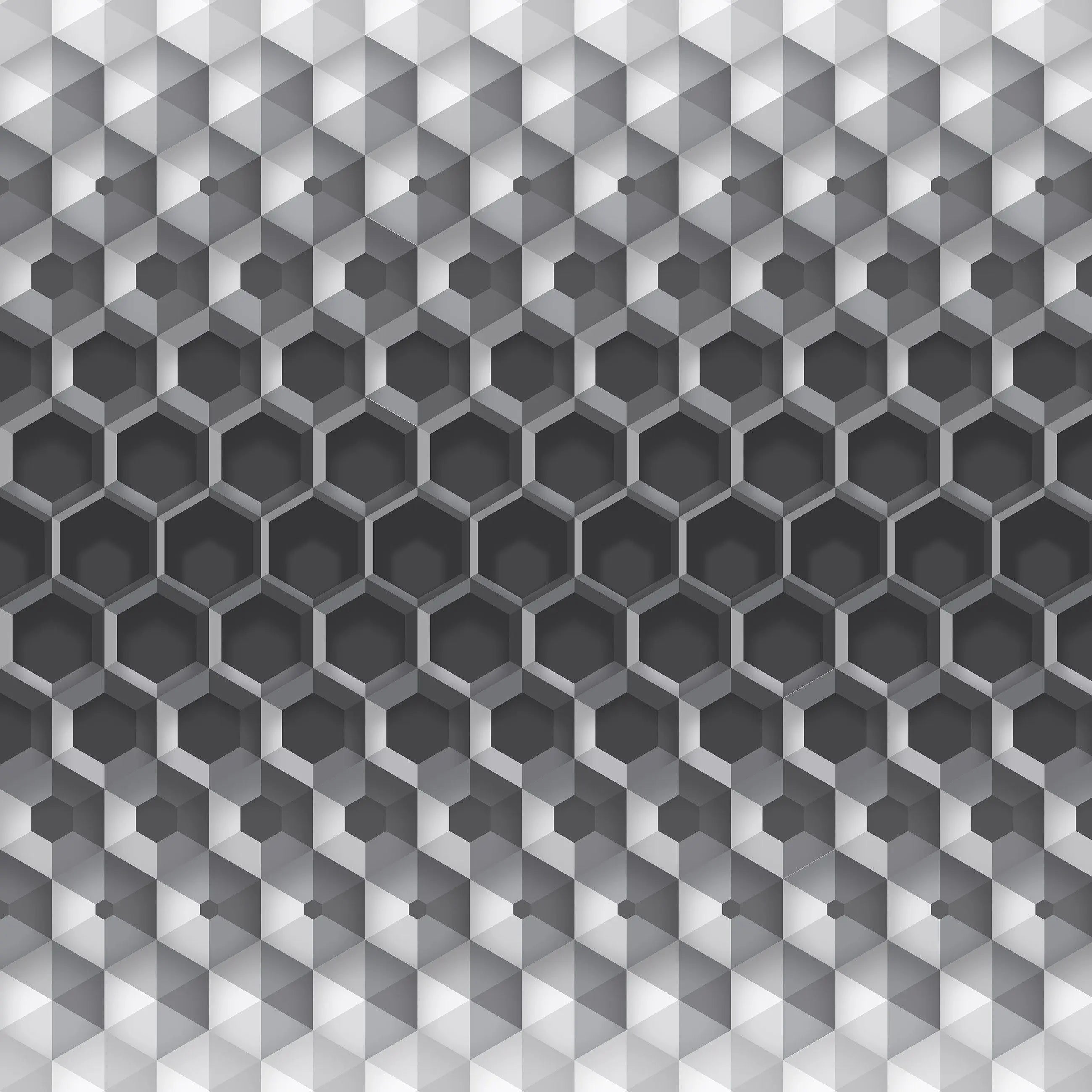 Billede 16 af Fototapet - Sort-hvidt geometrisk mønster med sekskantet design
