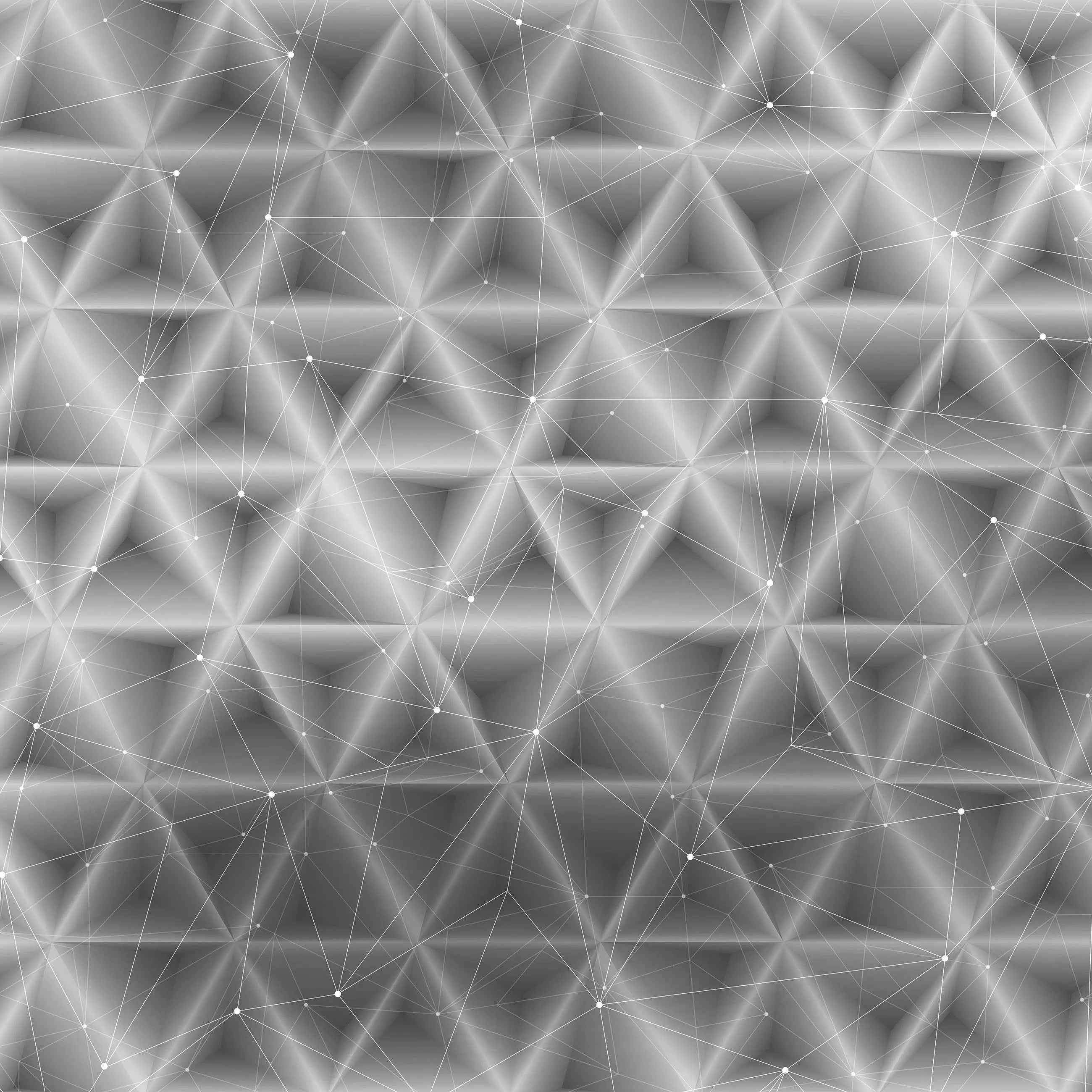 Billede 16 af Fototapet - Sort-hvidt geometrisk netværksmønster med trekantede former