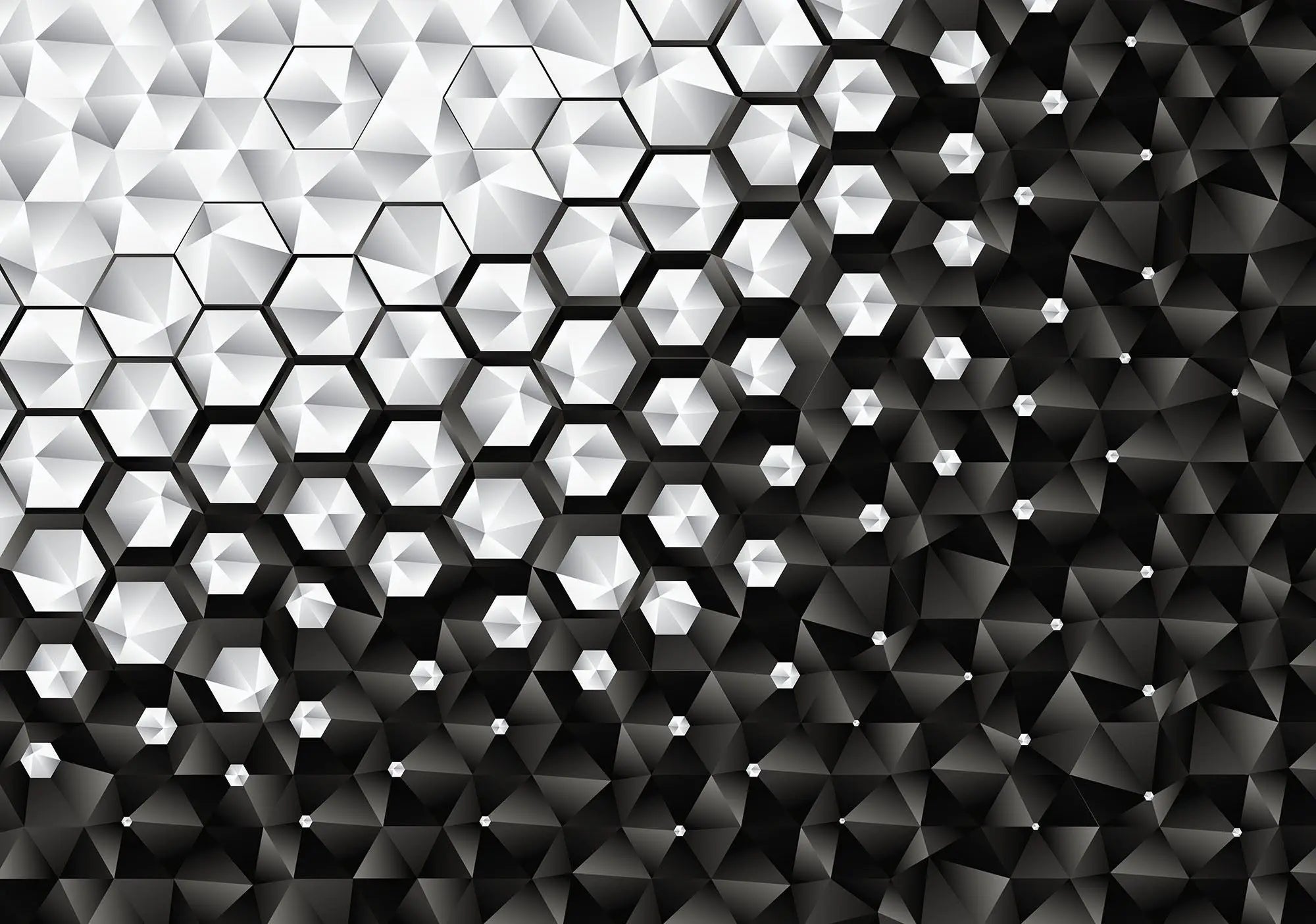 Billede 1 af Fototapet - Sort og hvidt geometrisk mønster med sekskanter