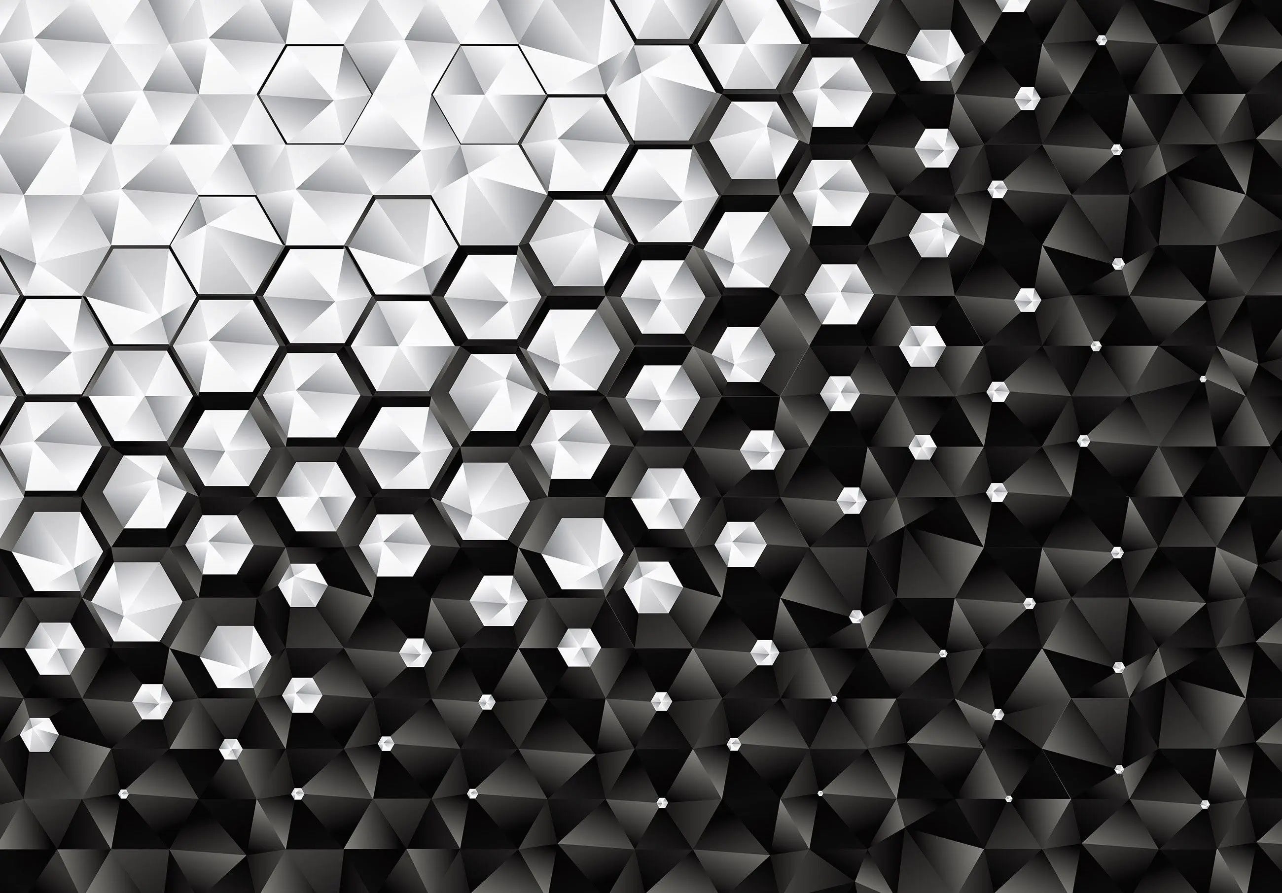 Billede 10 af Fototapet - Sort og hvidt geometrisk mønster med sekskanter