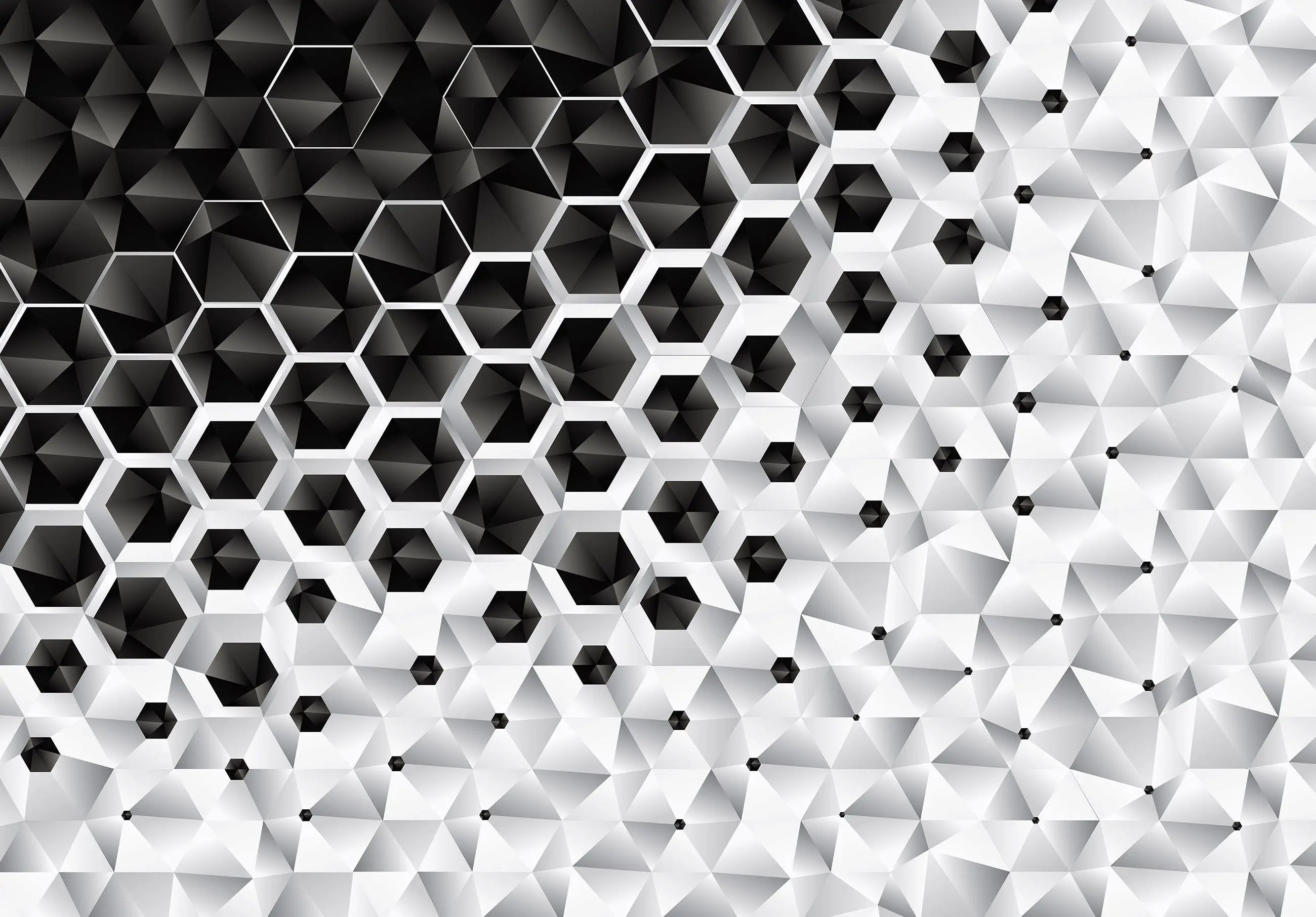 Billede 12 af Fototapet - Sort og hvidt geometrisk sekskant mønster