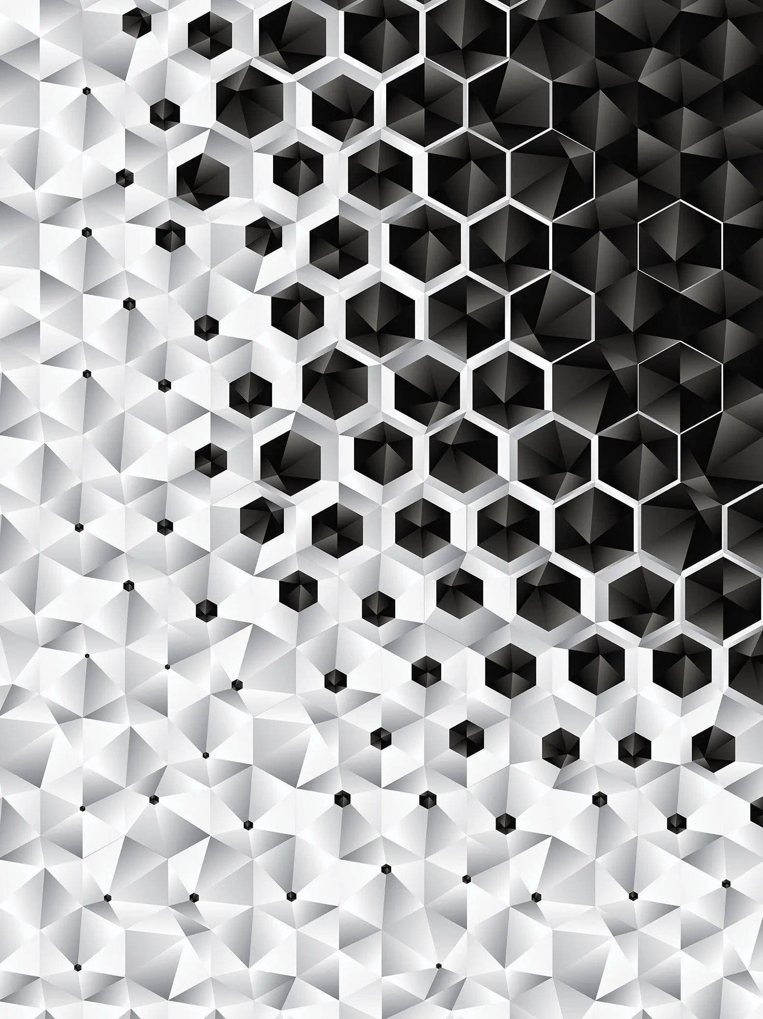 Billede 15 af Fototapet - Sort og hvidt geometrisk sekskant mønster