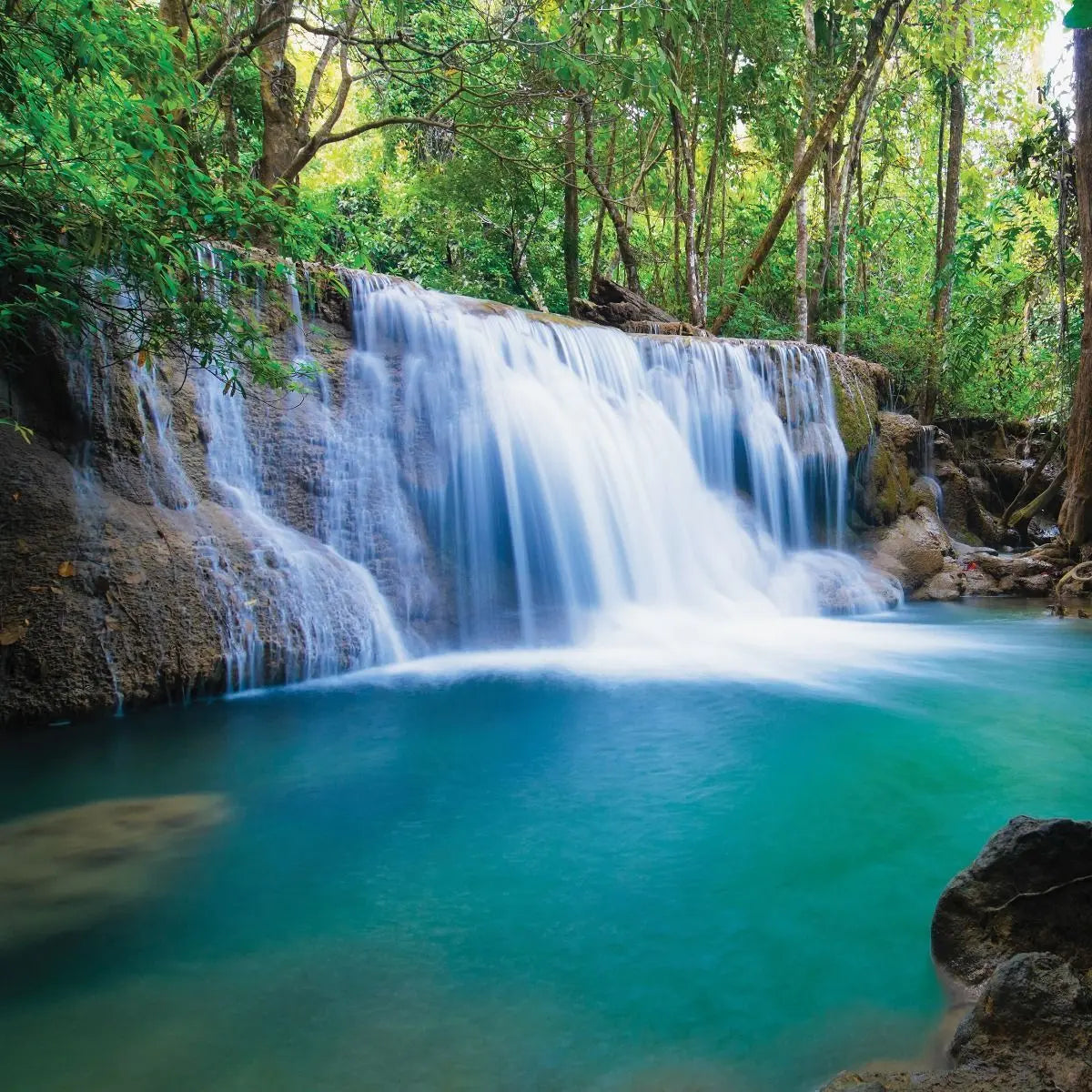 Billede 7 af Fototapet - Vandfald i grøn skov med klar lagune