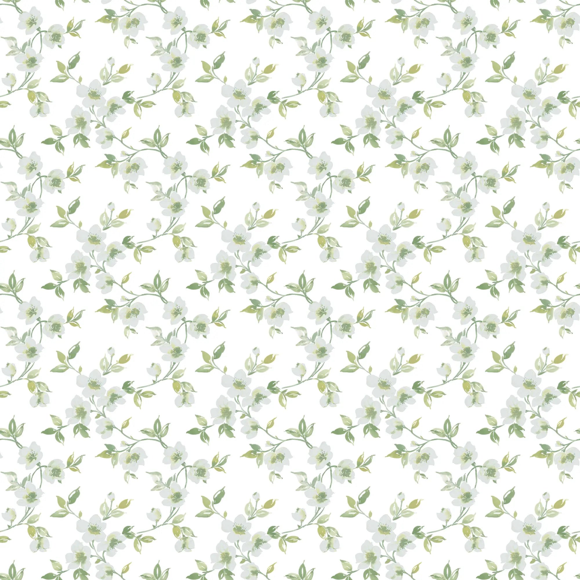 Tapetmønster af Veiled Windflowers - Meadow med delikate, grønne blade og lyse blomster på hvid baggrund, tilgængelig hos Nicetapet.dk.