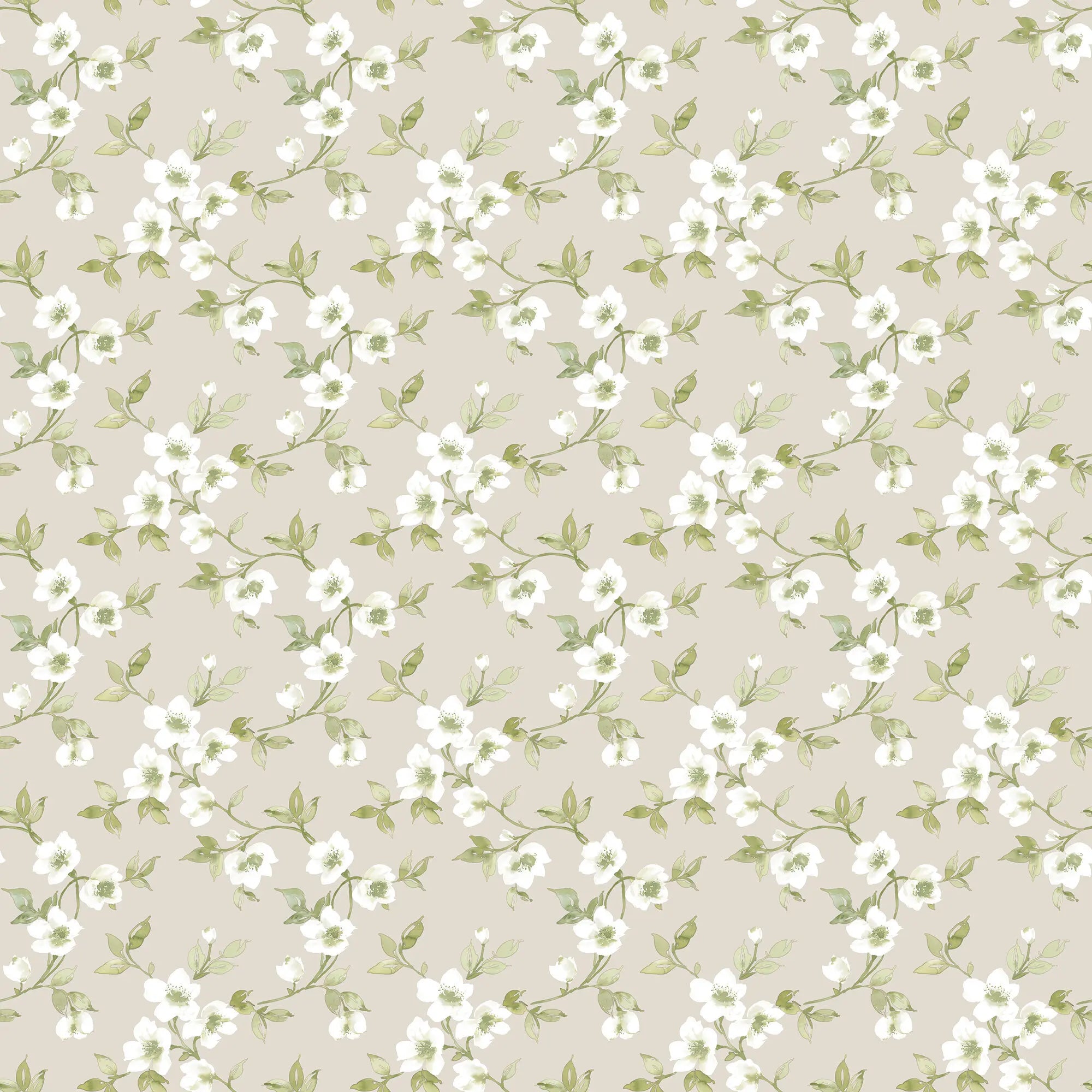 Produktet Veiled Windflowers - Sage viser et elegant tapetdesign med sarte, hvide blomster og grønne blade i en gentagen mønster på en lys baggrund.