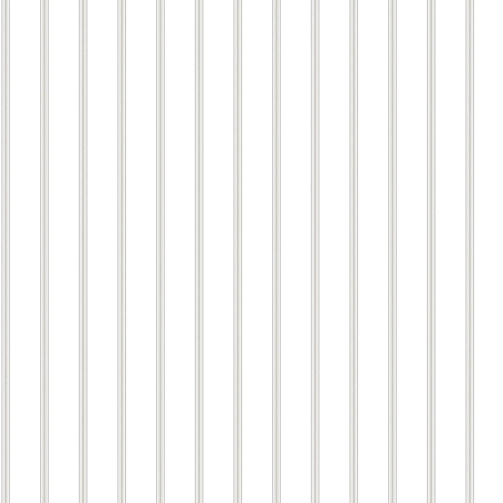 Detaljeret billede af tapet med produktnavn Whisk Lines - Ivory, der viser et simpelt mønster af lodrette linjer på en elfenbensbaggrund.