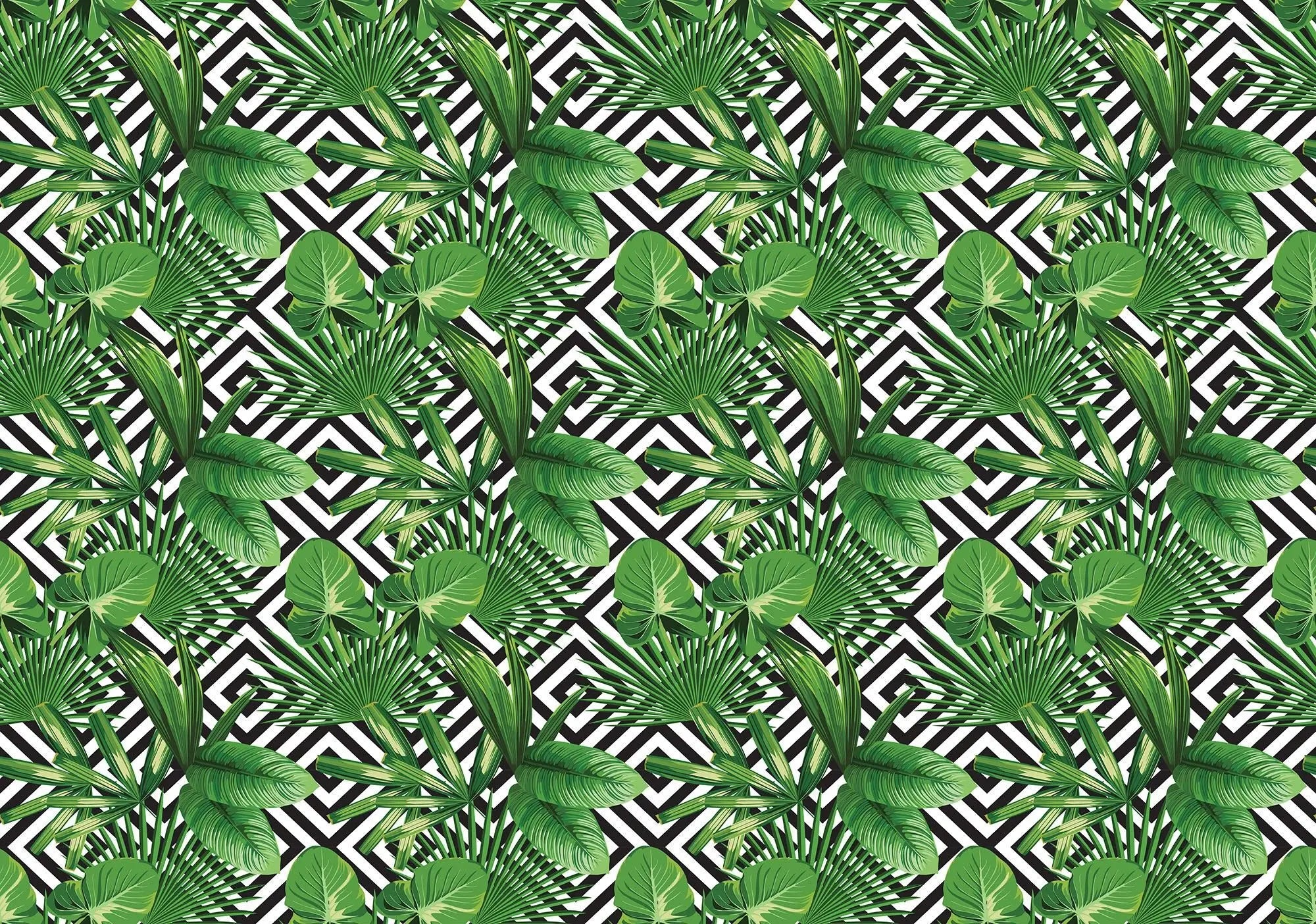 Billede 1 af Fototapet - Grønne tropiske blade på sort og hvidt zigzag-mønster