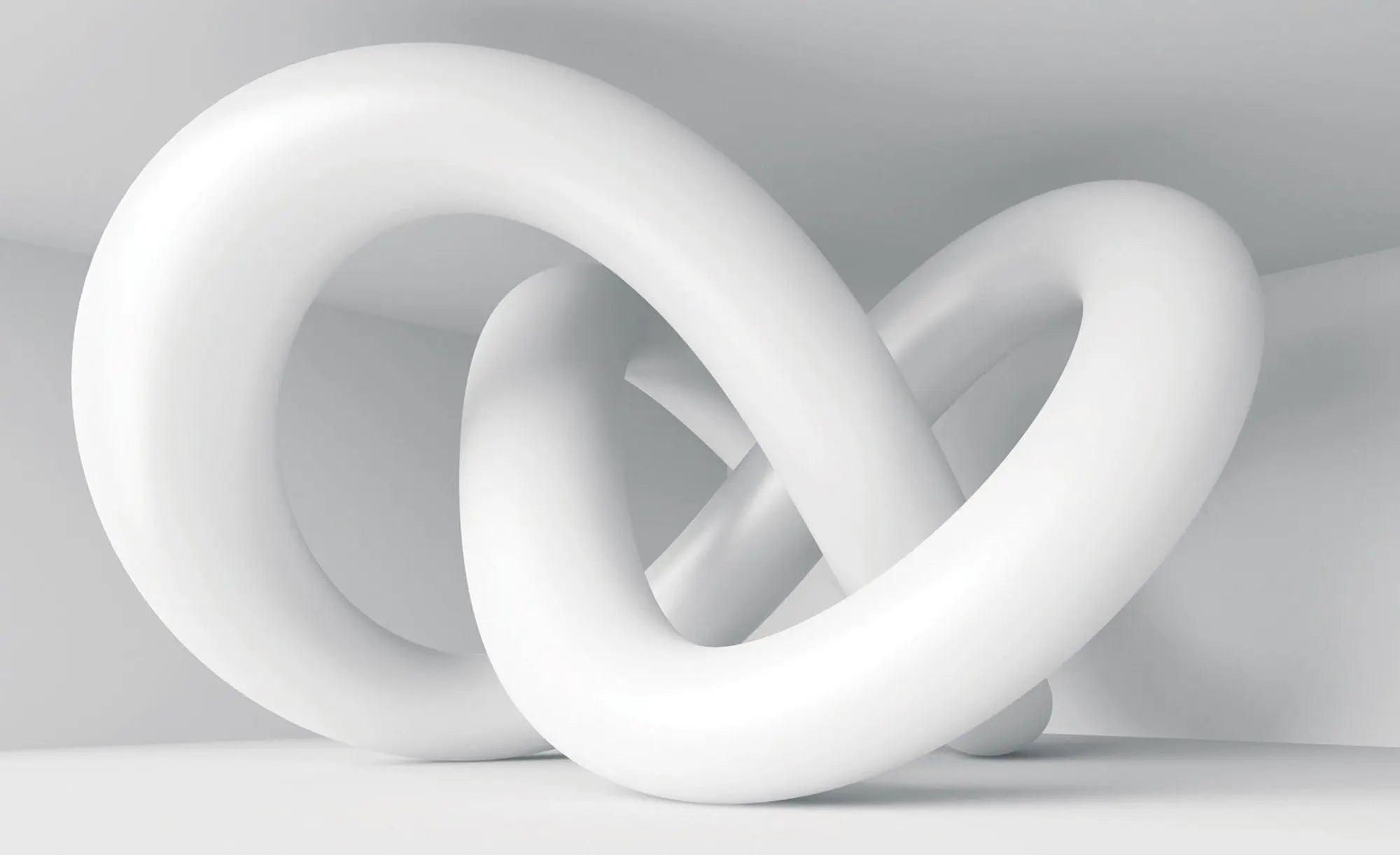Billede 1 af Fototapet - Hvid tredimensionel sammenflettet cirkulær skulptur i hjørnet