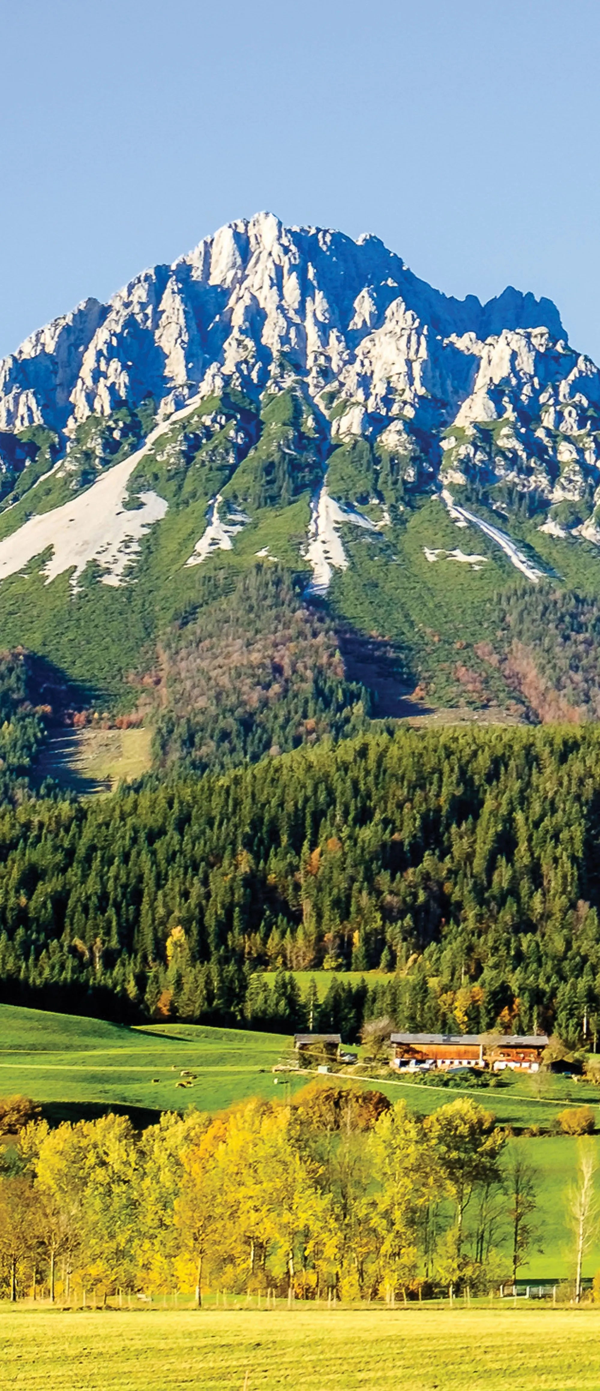 Billede 14 af Fototapet - Kitzbüheler Alperne med skov og marker i sollys