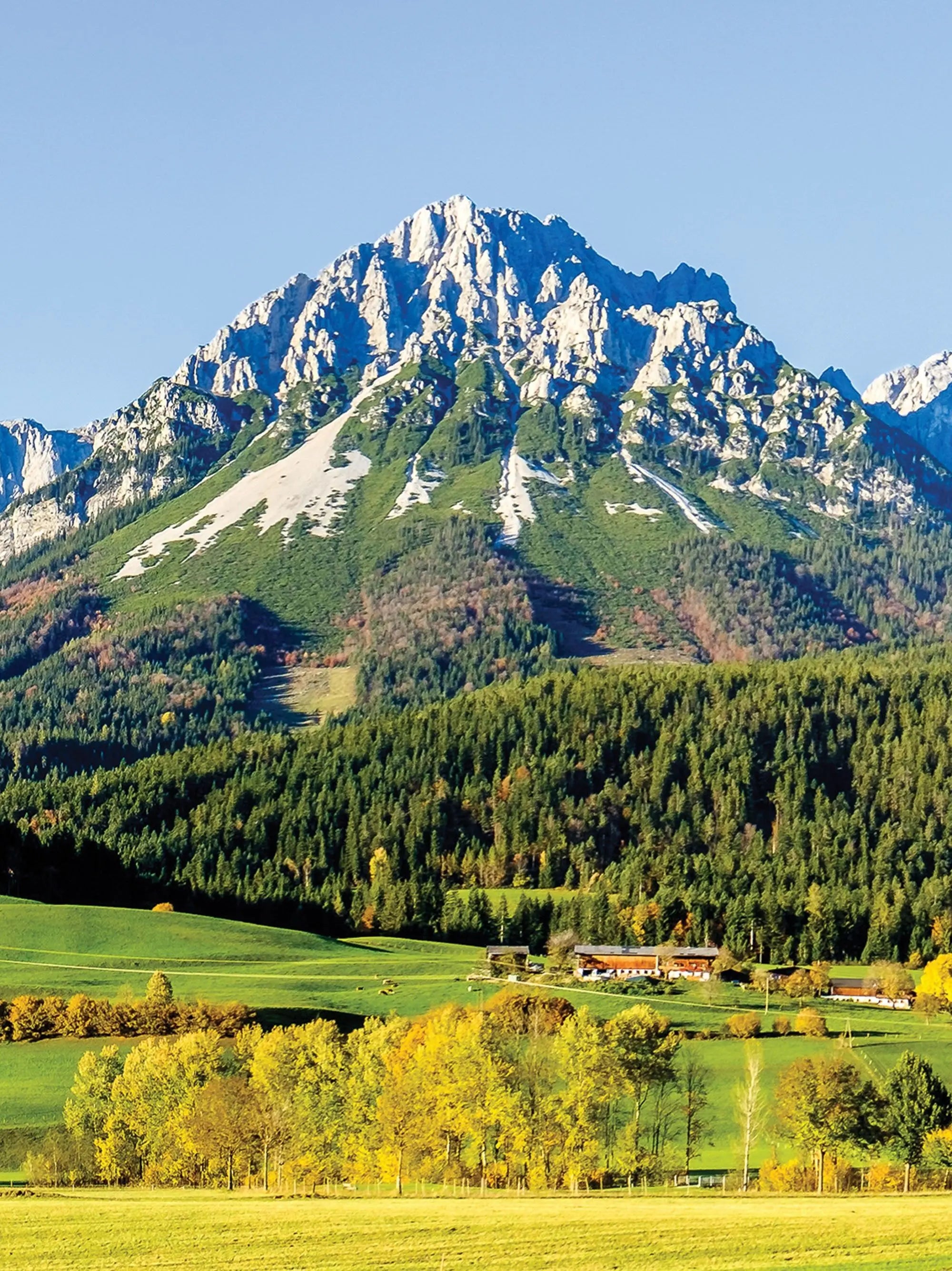 Billede 18 af Fototapet - Kitzbüheler Alperne med skov og marker i sollys