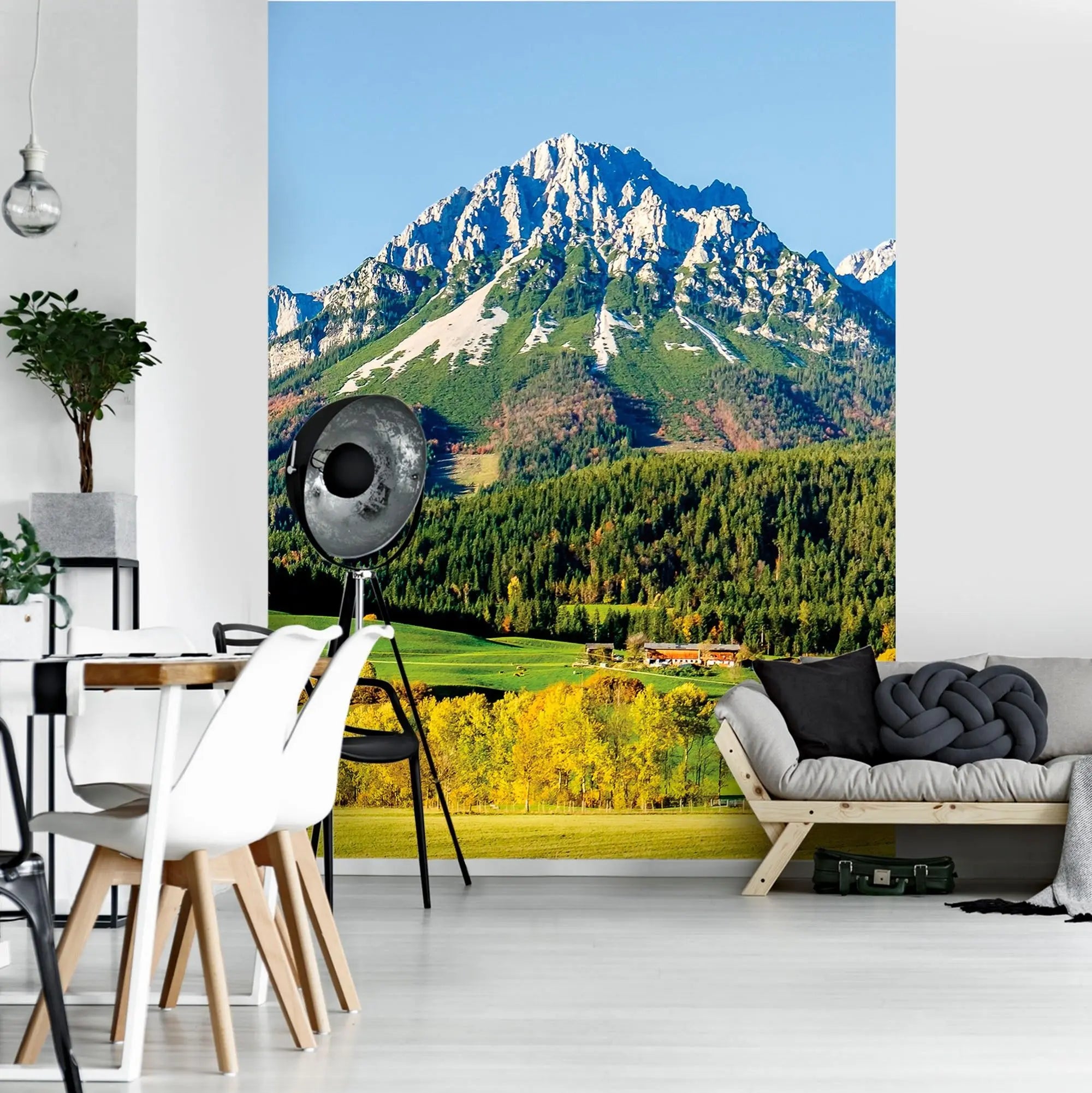 Billede 19 af Fototapet - Kitzbüheler Alperne med skov og marker i sollys