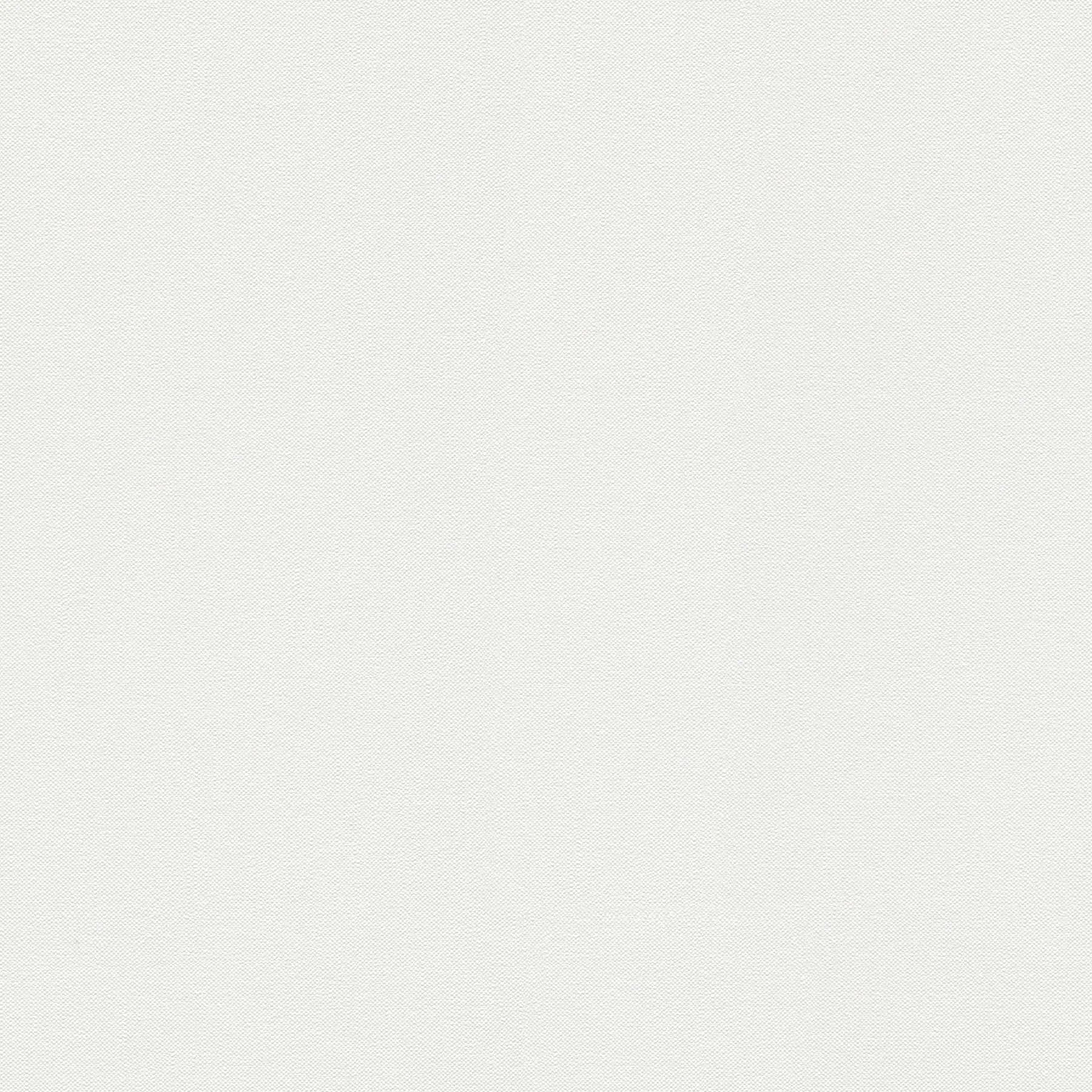 Billedet viser vægbeklædningen Linen Elegance - Pearl, som har en elegant, lys perlefarve med en subtil tekstur.