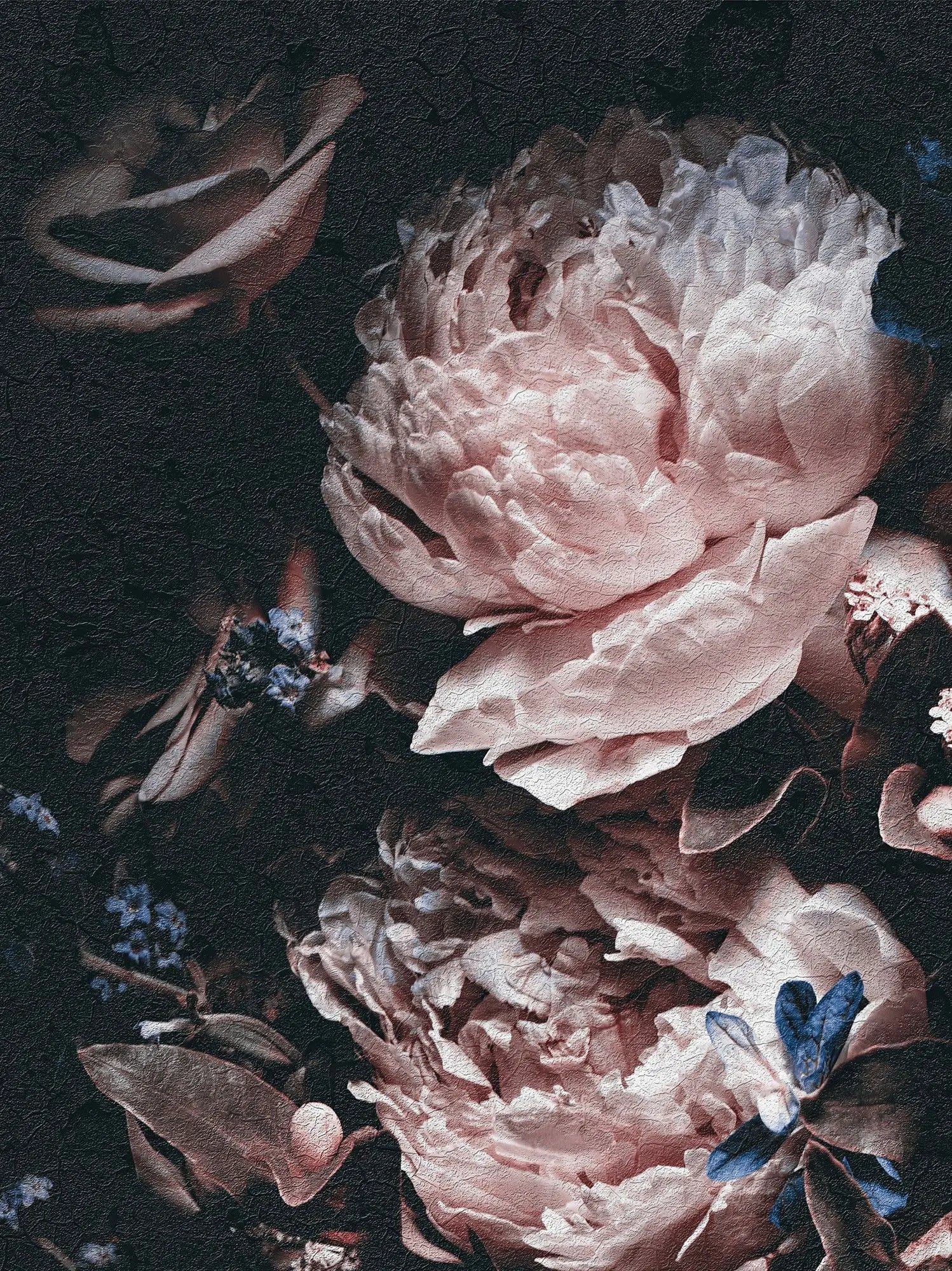 Billede 16 af Fototapet - Mørkt blomsterarrangement med lyserøde og hvide pæoner