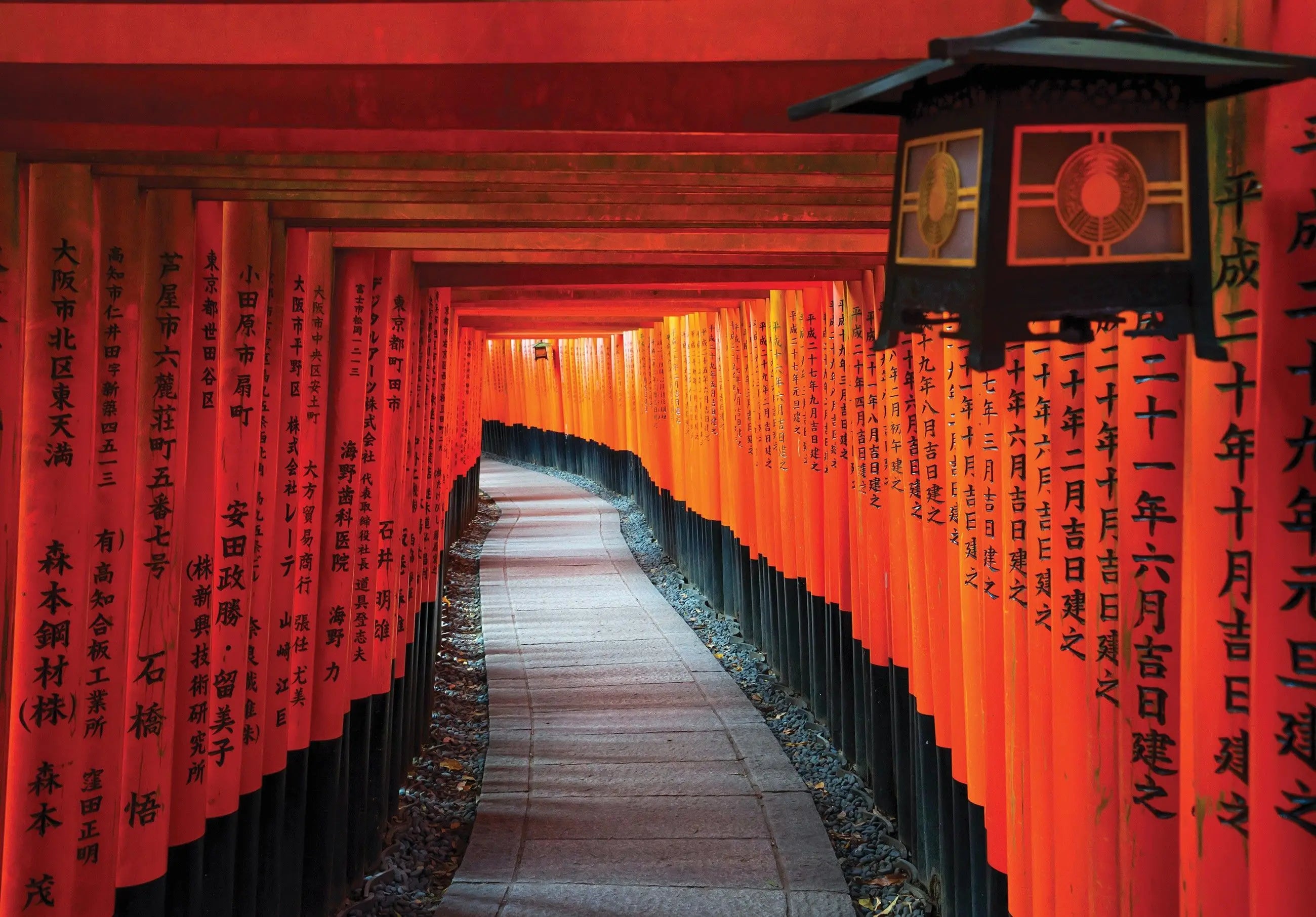 Billede 1 af Fototapet - Rød torii-gangsti ved Fushimi Inari-taisha i Kyoto, Japan