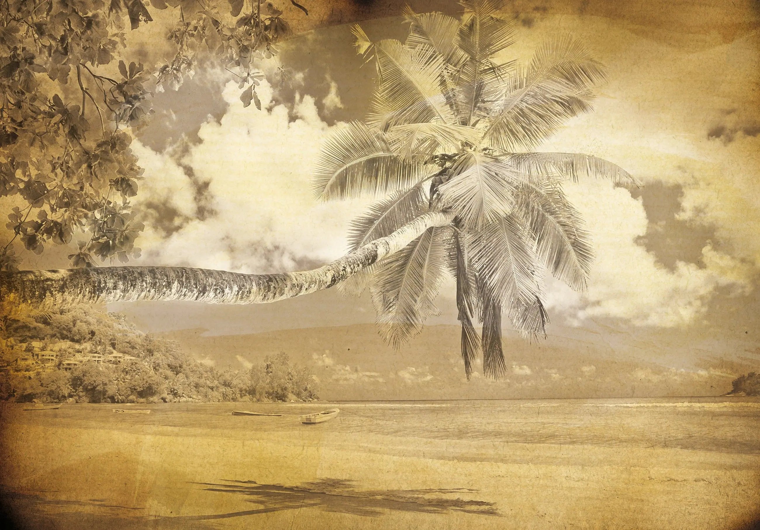 Billede 7 af Fototapet - Sepia tonet strand med hængende palmer