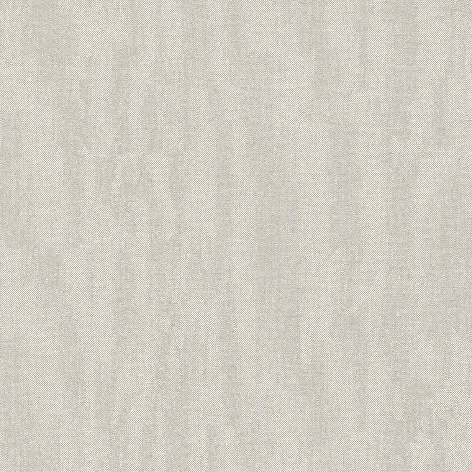 Billede af tapet Serene Elegance - Ivory med en blød, ensartet overflade i lysegrå nuancer fra Nicetapet.dk.