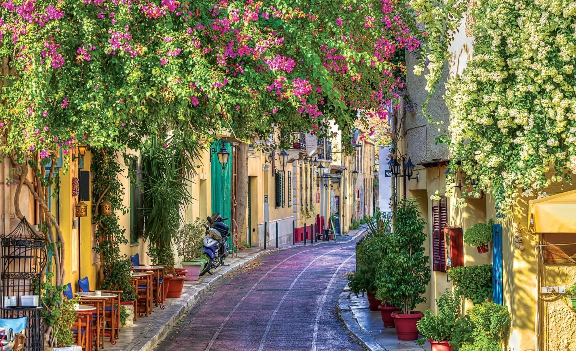 Billede 1 af Fototapet - Smal brolagt gade i Athen med blomstrende bougainvillea